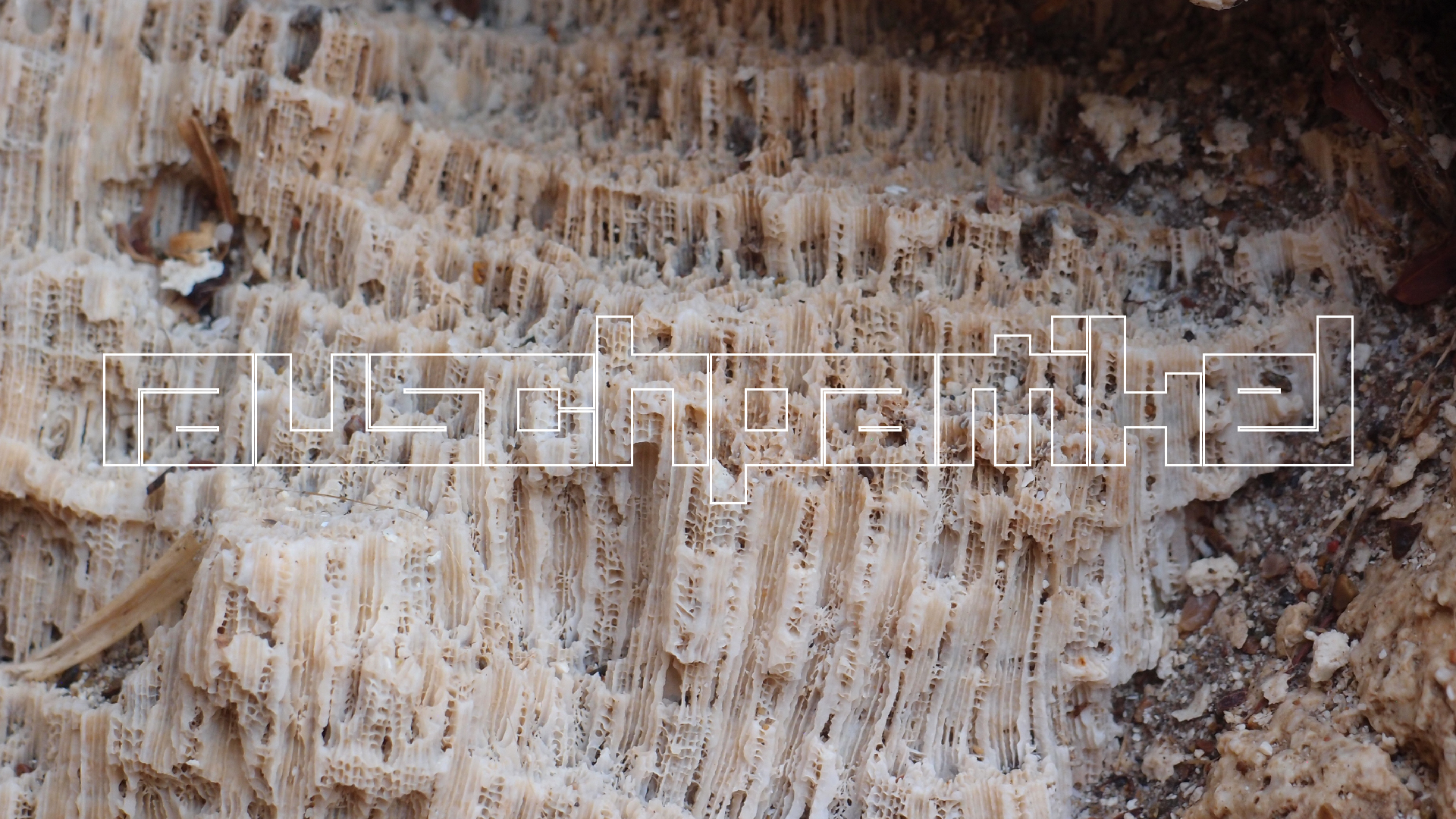 2022-10-29 10 Uhr 40 Wind - Alu (Audio, Foto, Video)