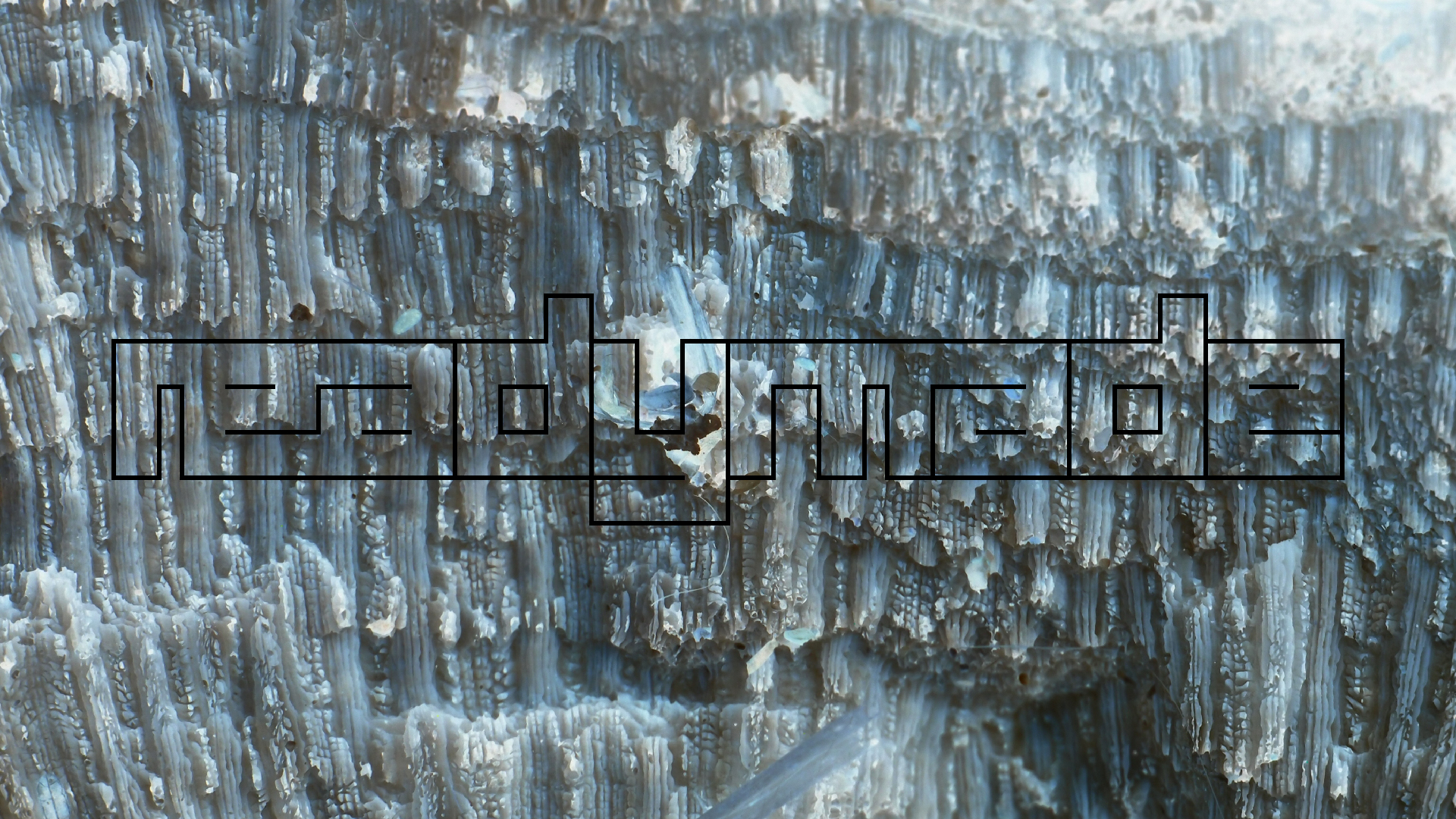 2022-10-29 10 Uhr 40 Wind - Alu (Audio, Foto, Video)