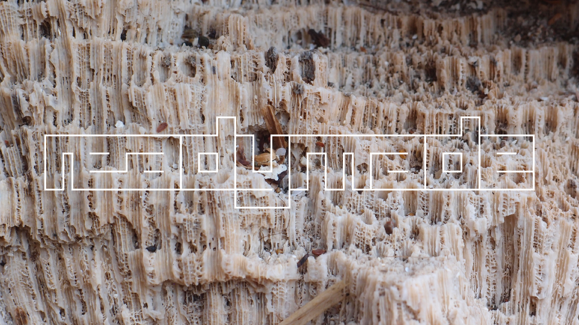 2022-10-29 10 Uhr 40 Wind - Alu (Audio, Foto, Video)