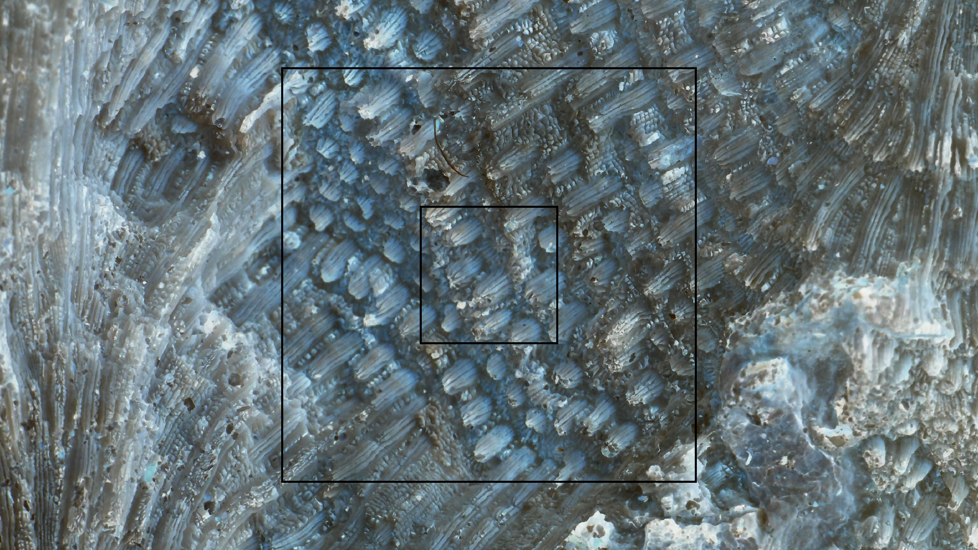 2022-10-29 10 Uhr 40 Wind - Alu (Audio, Foto, Video)