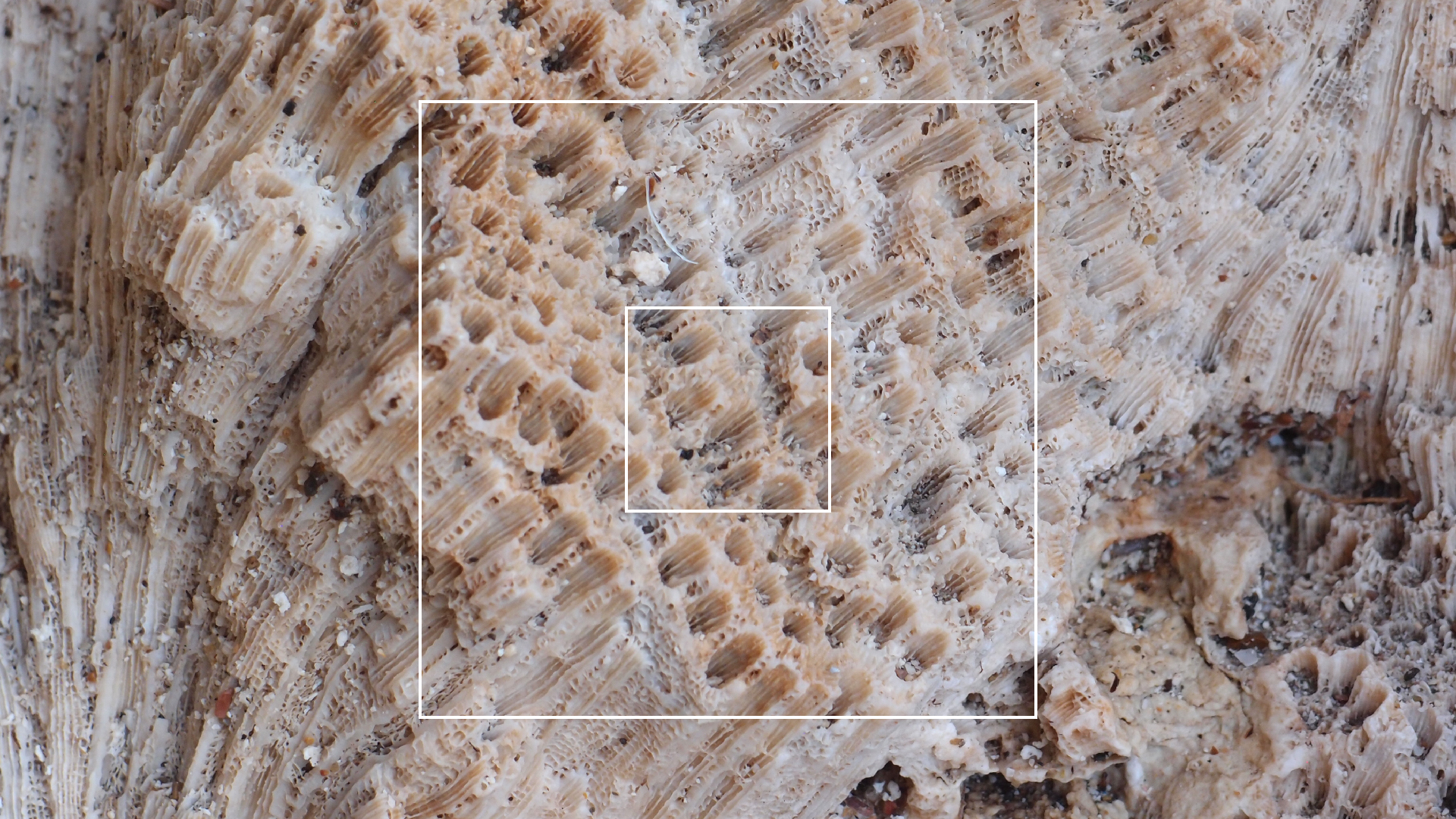 2022-10-29 10 Uhr 40 Wind - Alu (Audio, Foto, Video)