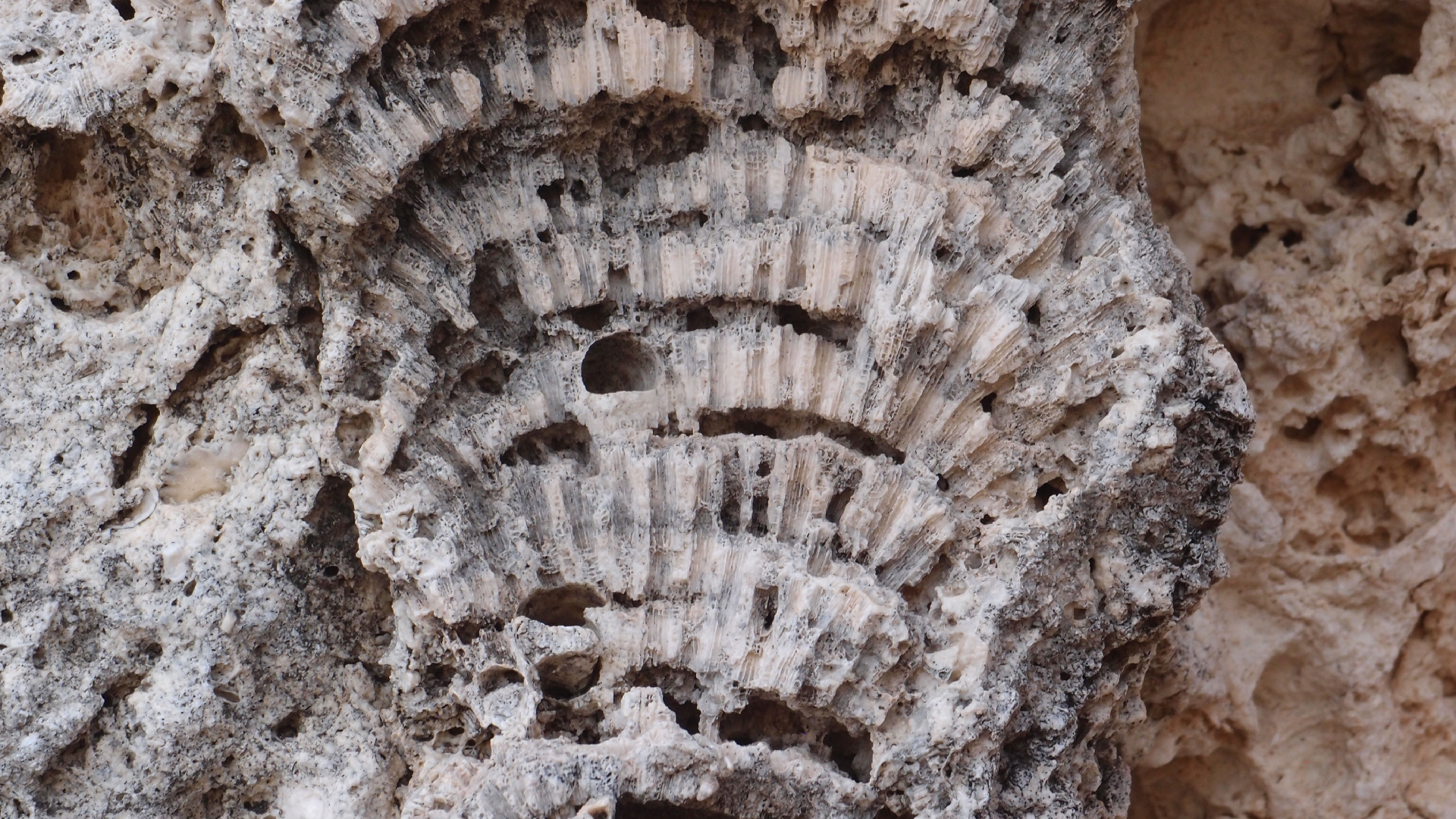 2022-10-29 10 Uhr 40 Wind - Alu (Audio, Foto, Video)