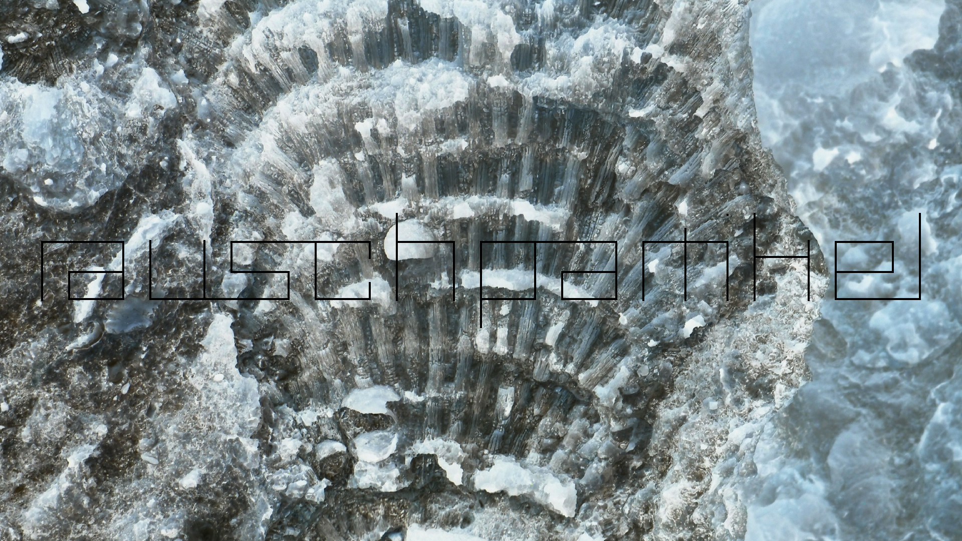 2022-10-29 10 Uhr 40 Wind - Alu (Audio, Foto, Video)