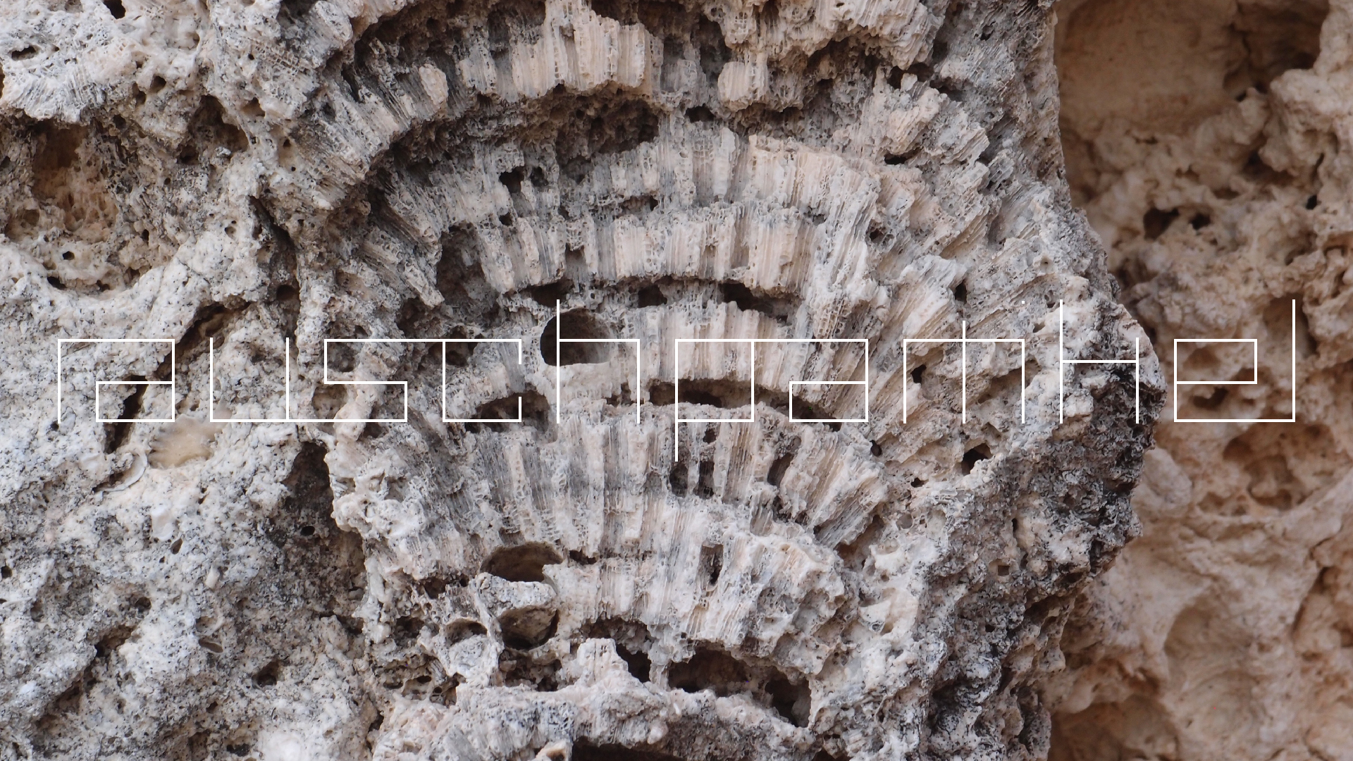 2022-10-29 10 Uhr 40 Wind - Alu (Audio, Foto, Video)