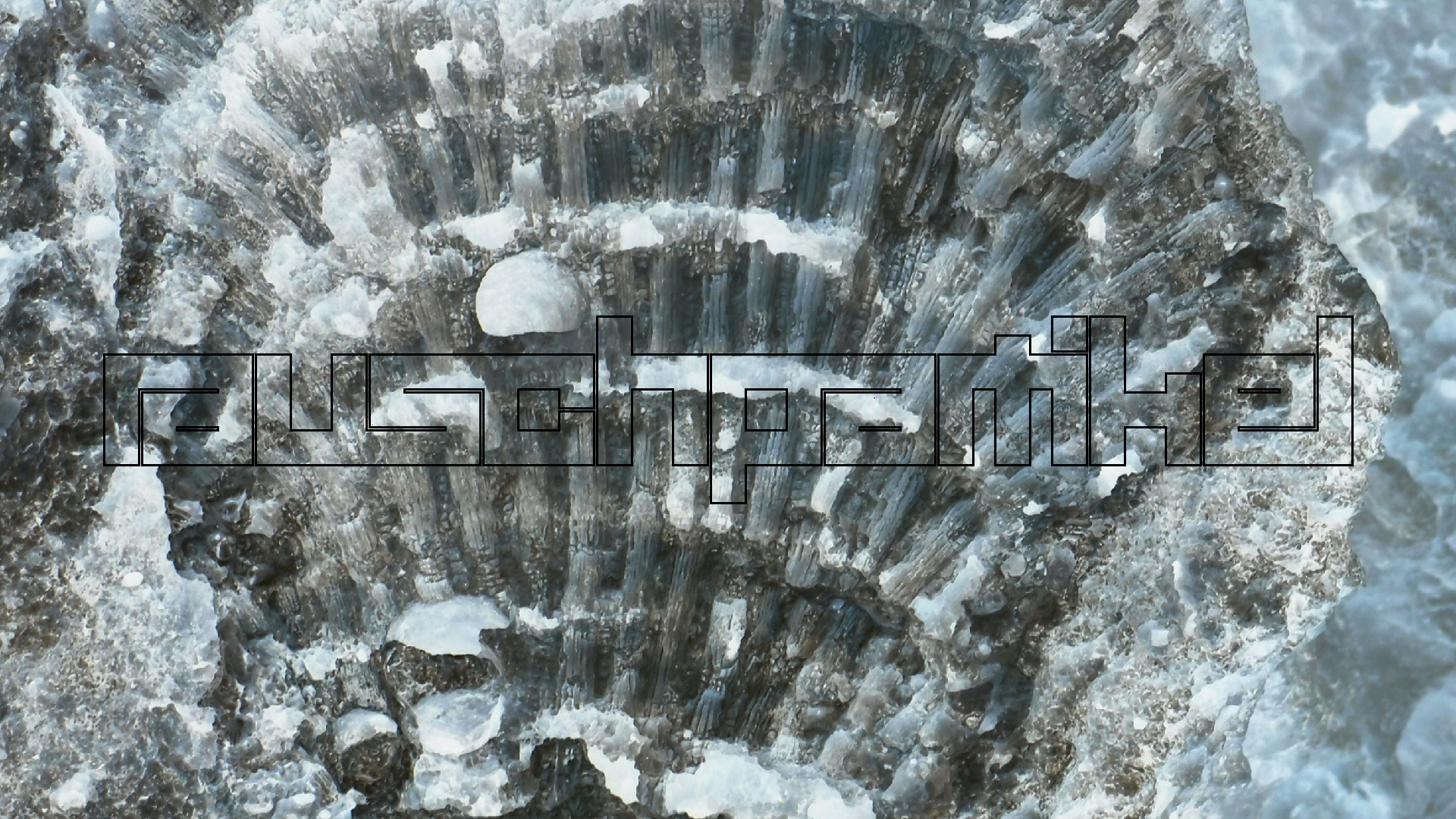 2022-10-29 10 Uhr 40 Wind - Alu (Audio, Foto, Video)