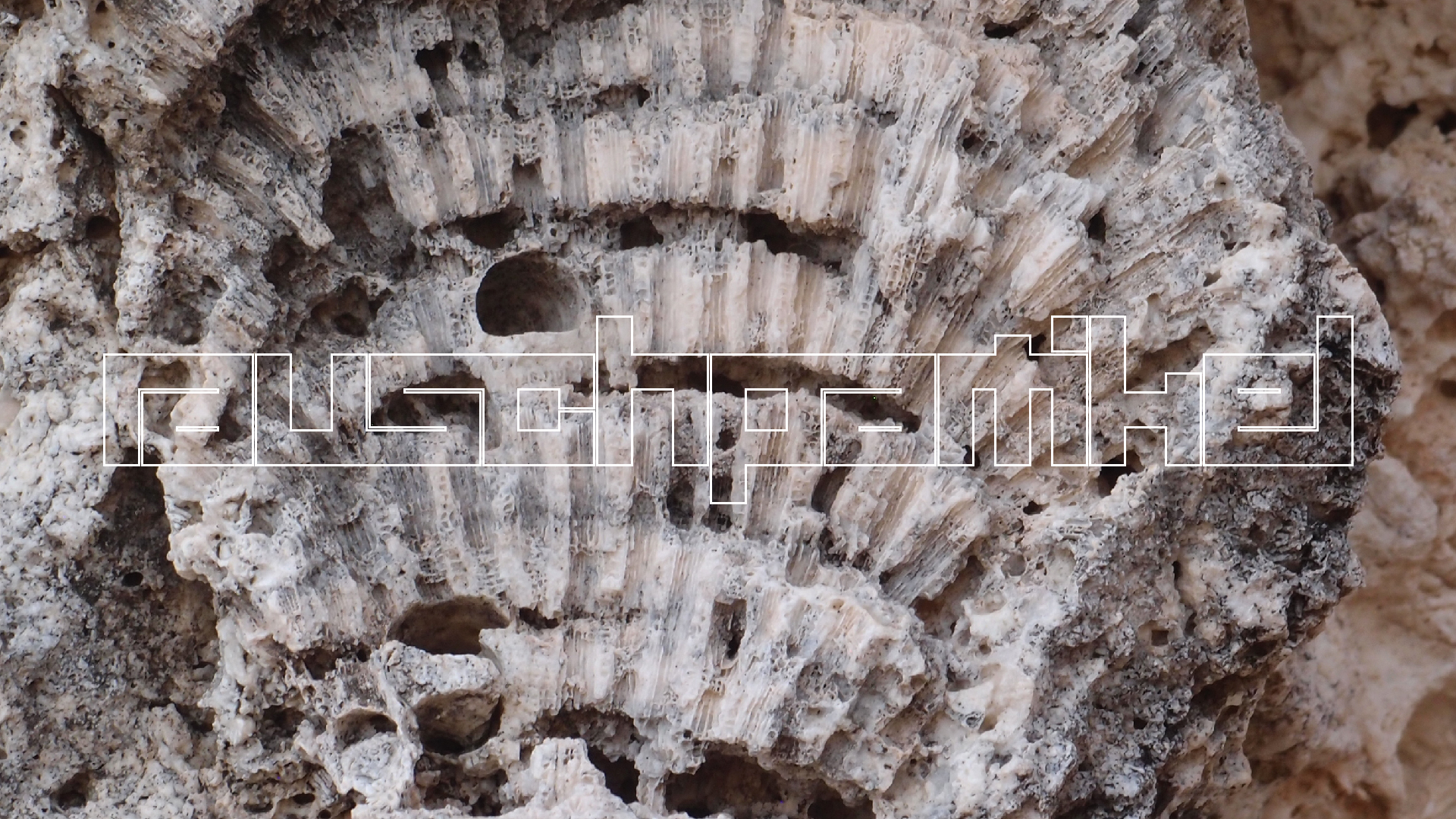 2022-10-29 10 Uhr 40 Wind - Alu (Audio, Foto, Video)