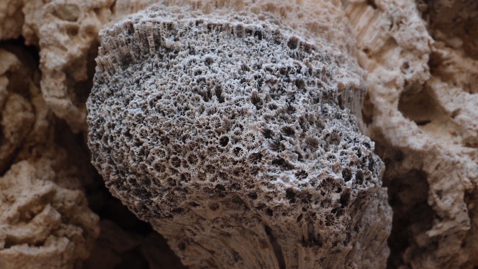 2022-10-29 10 Uhr 40 Wind - Alu (Audio, Foto, Video)