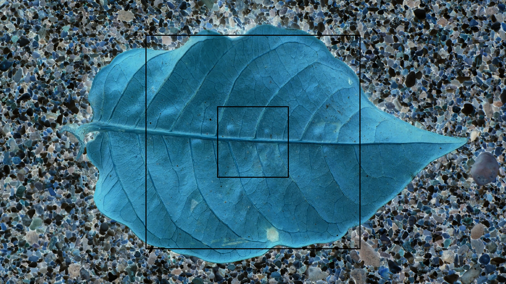 2022-10-29 10 Uhr 40 Wind - Alu (Audio, Foto, Video)