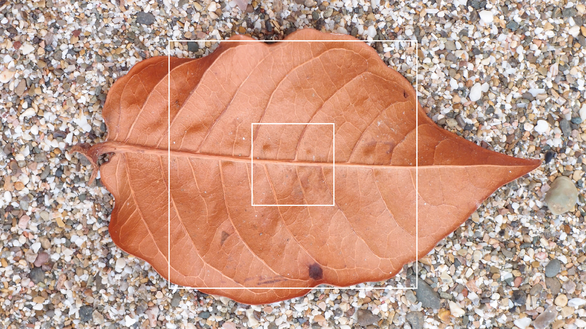 2022-10-29 10 Uhr 40 Wind - Alu (Audio, Foto, Video)