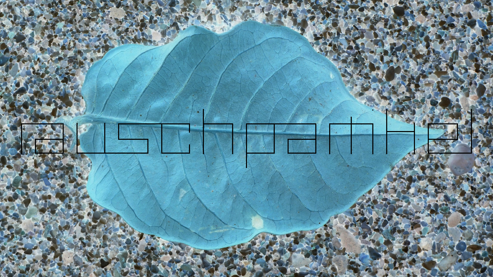 2022-10-29 10 Uhr 40 Wind - Alu (Audio, Foto, Video)