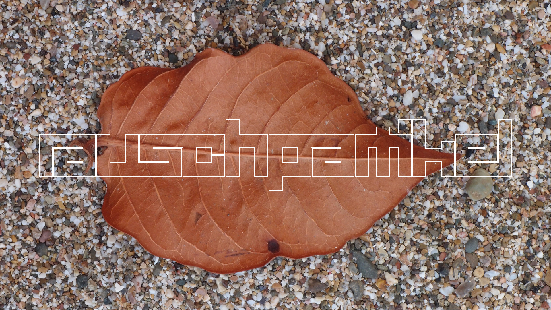 2022-10-29 10 Uhr 40 Wind - Alu (Audio, Foto, Video)