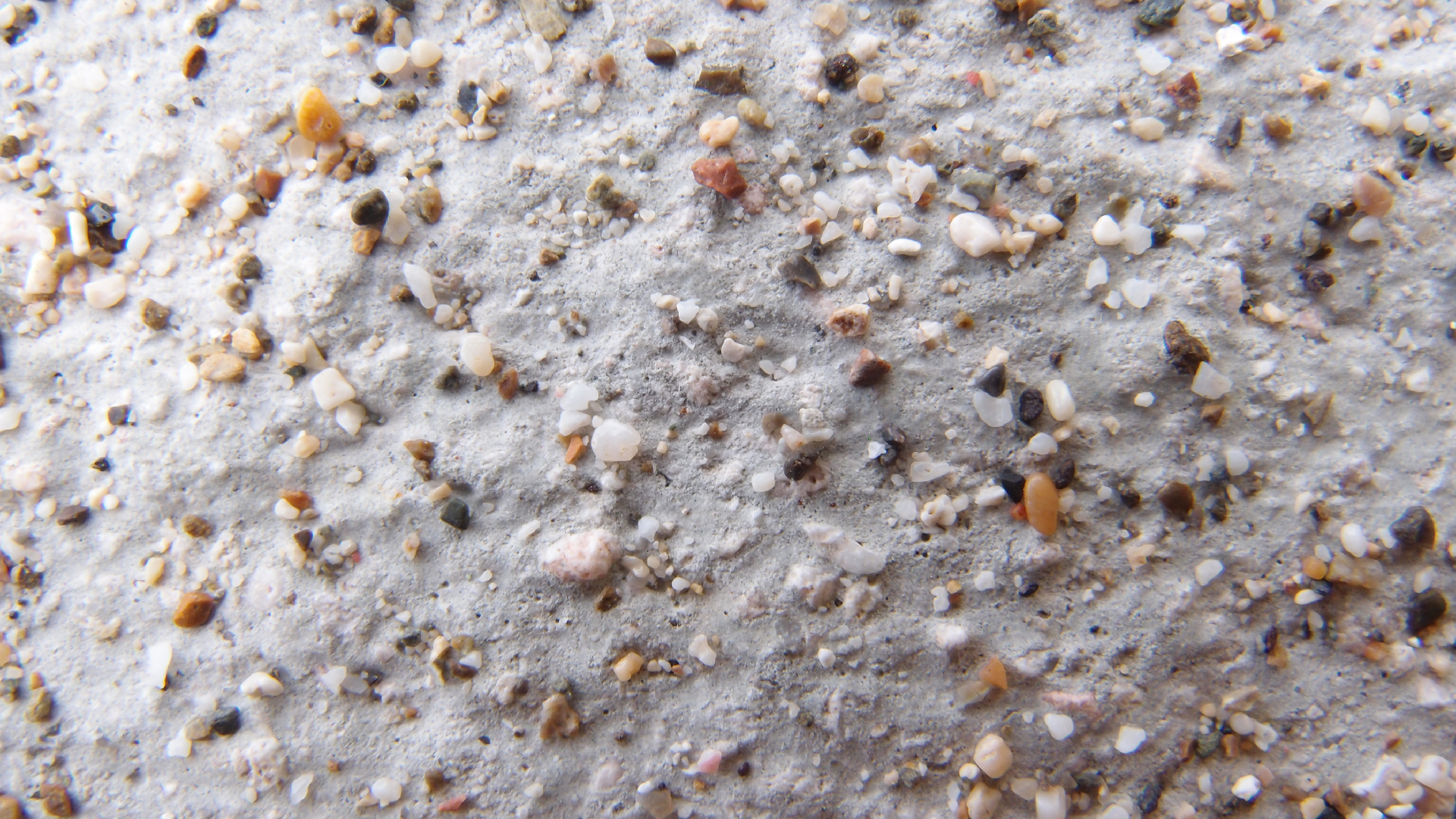 2022-10-29 10 Uhr 40 Wind - Alu (Audio, Foto, Video)