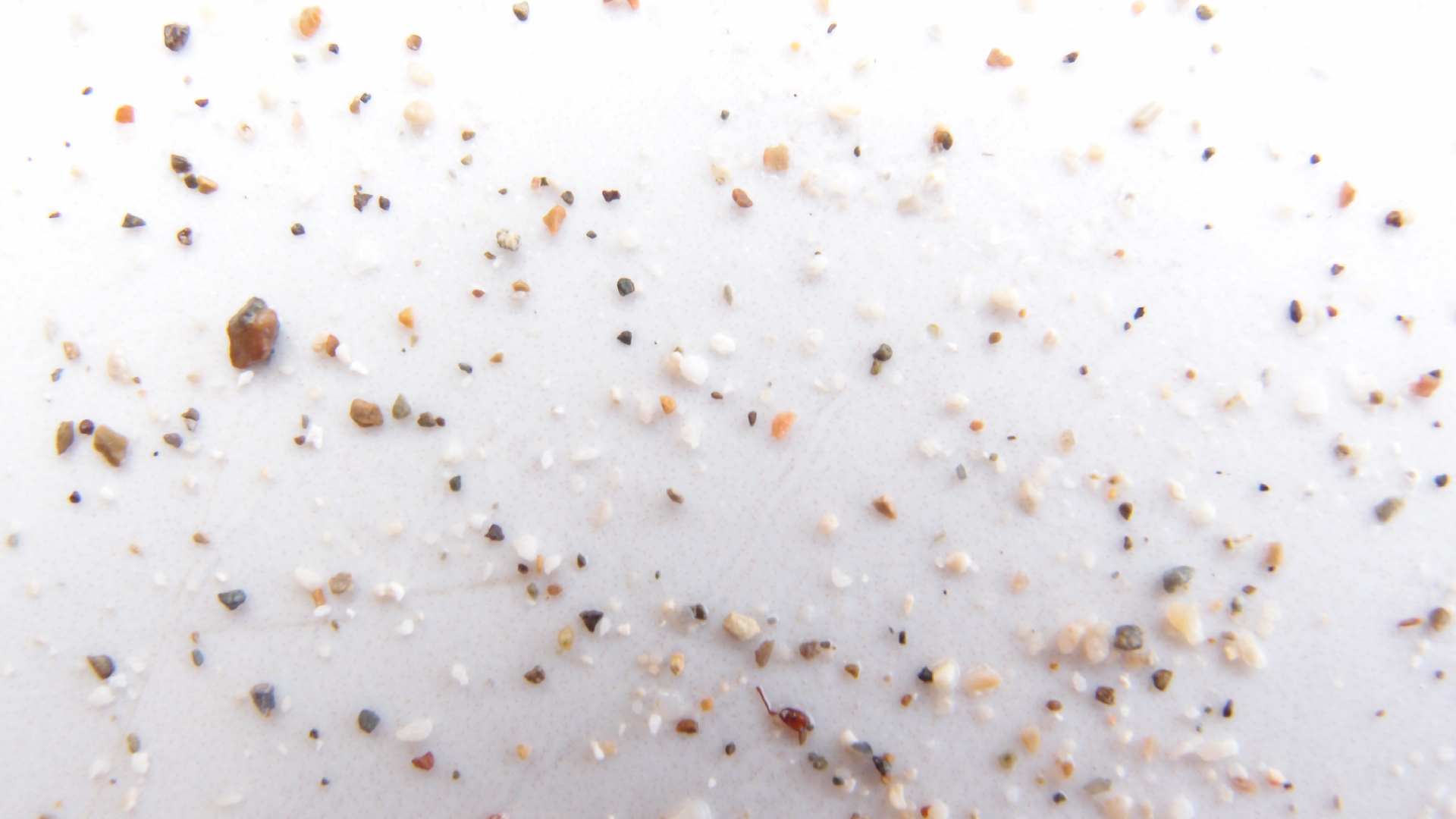 2022-10-29 10 Uhr 40 Wind - Alu (Audio, Foto, Video)