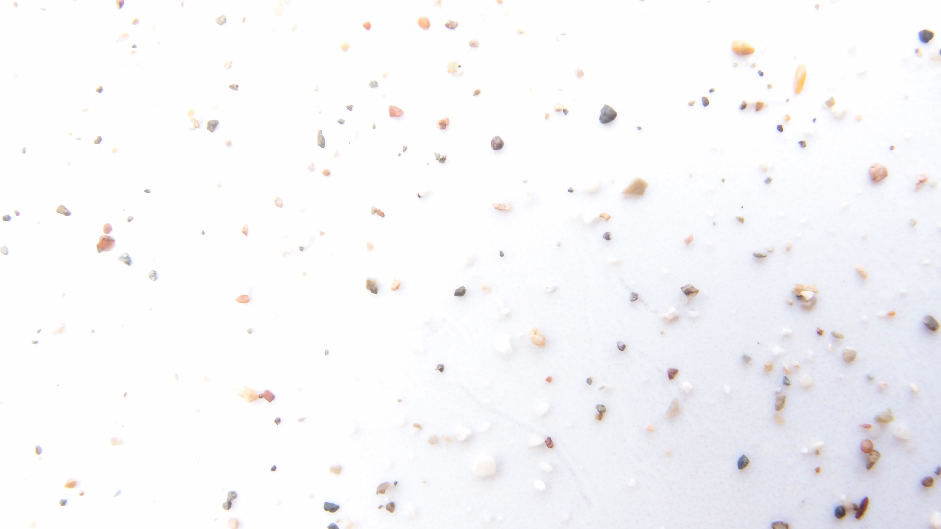 2022-10-29 10 Uhr 40 Wind - Alu (Audio, Foto, Video)