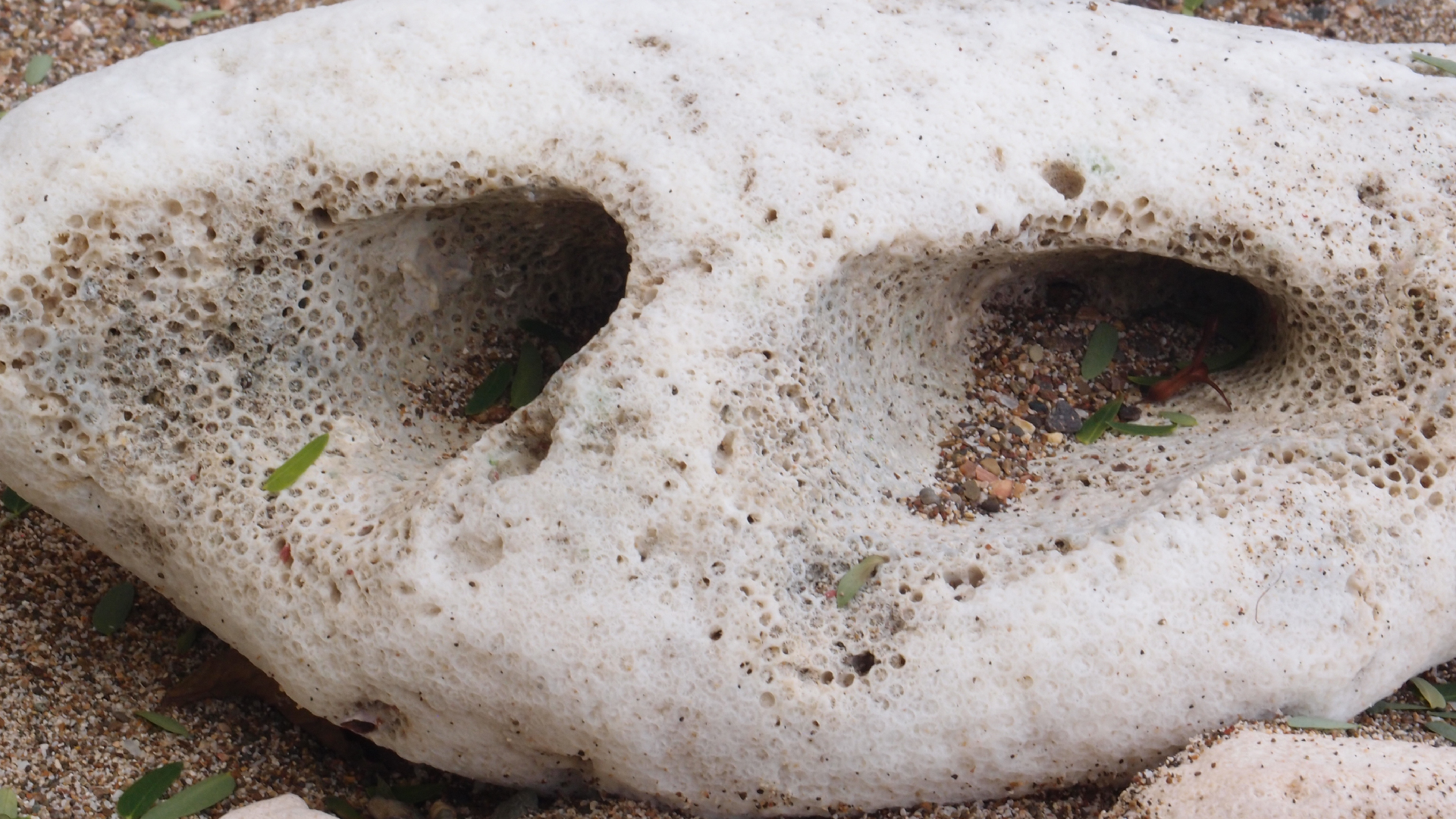 2022-10-29 10 Uhr 40 Wind - Alu (Audio, Foto, Video)