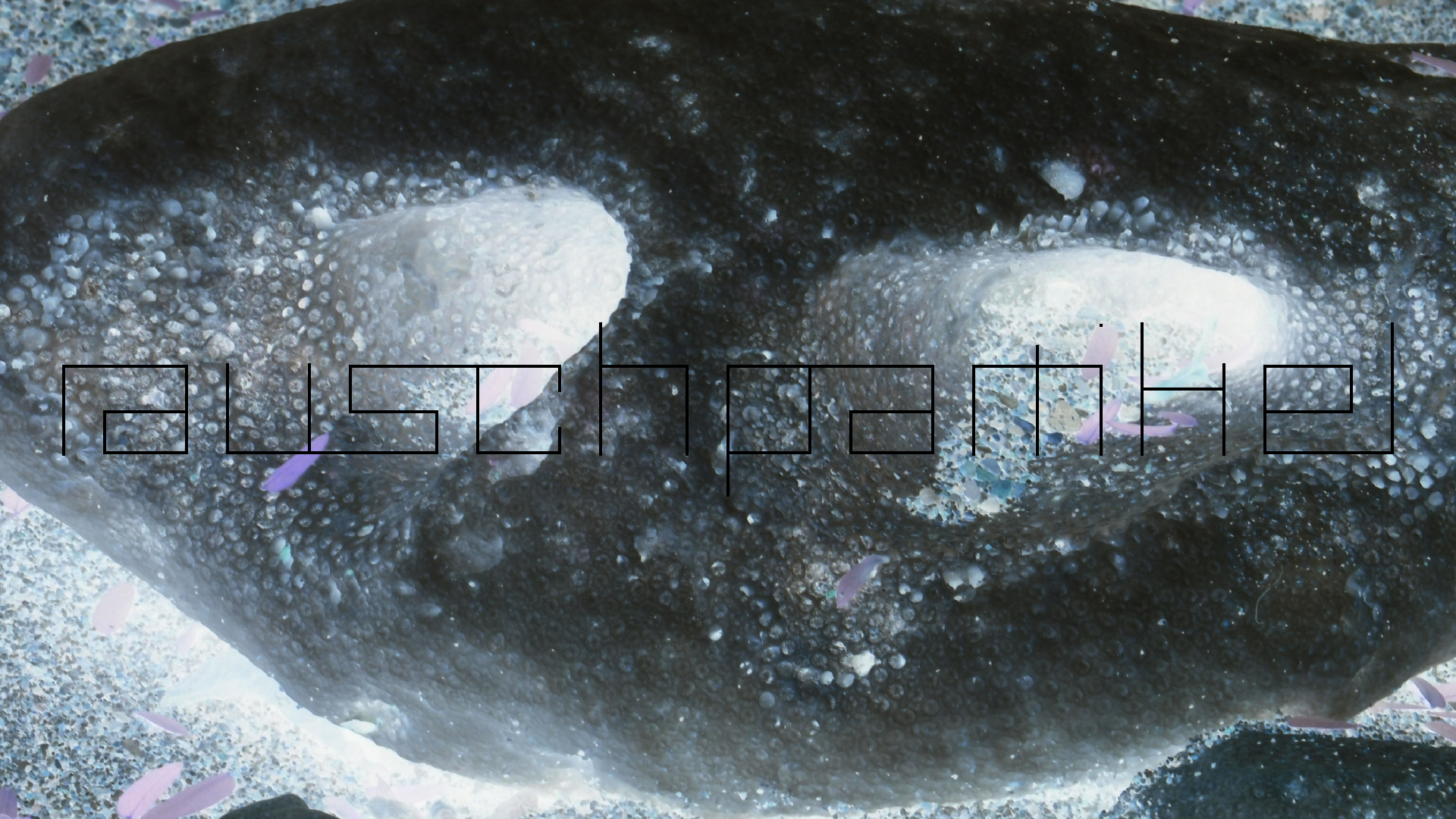 2022-10-29 10 Uhr 40 Wind - Alu (Audio, Foto, Video)