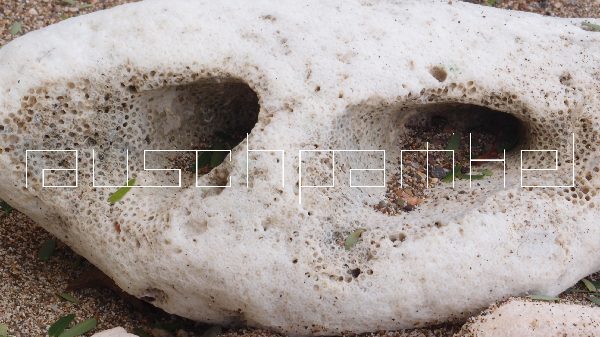 2022-10-29 10 Uhr 40 Wind - Alu (Audio, Foto, Video)