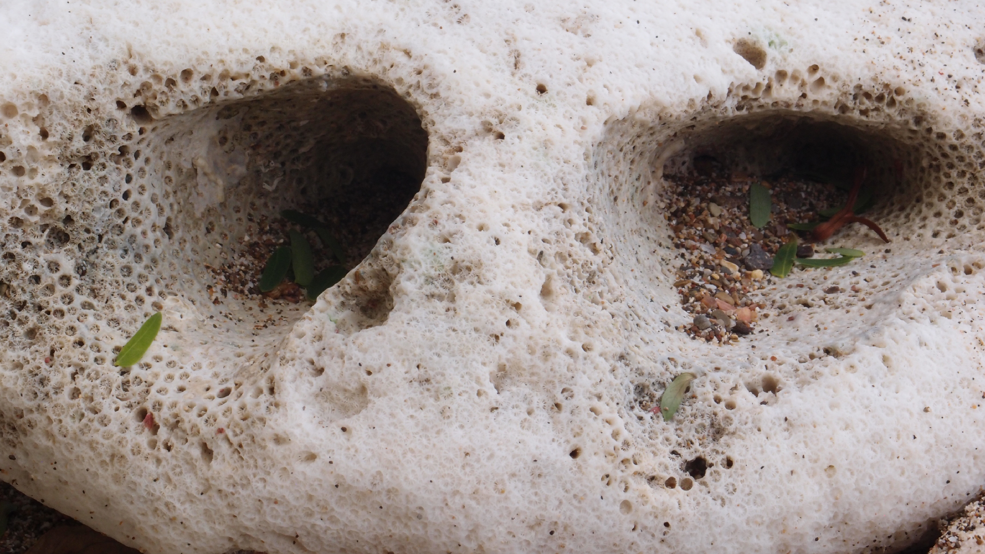 2022-10-29 10 Uhr 40 Wind - Alu (Audio, Foto, Video)