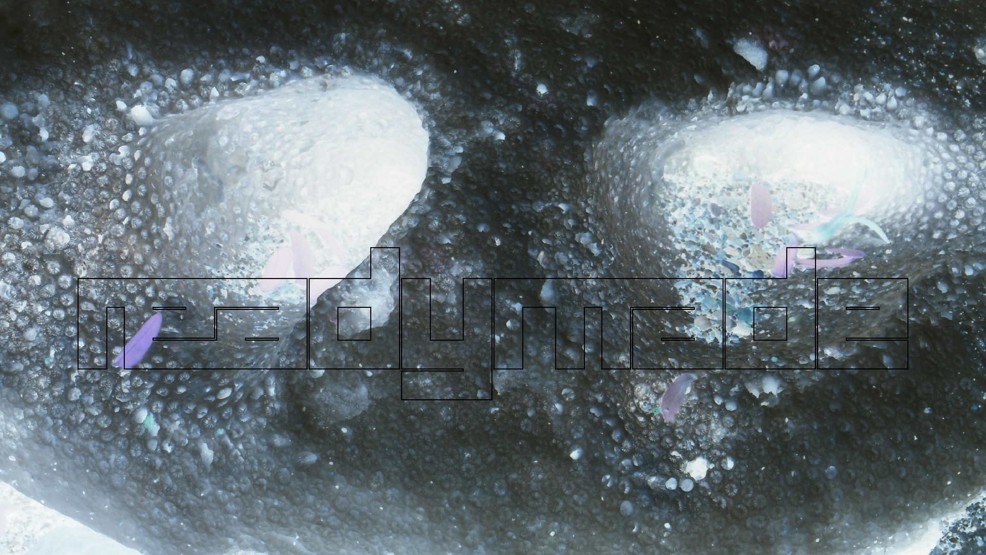 2022-10-29 10 Uhr 40 Wind - Alu (Audio, Foto, Video)