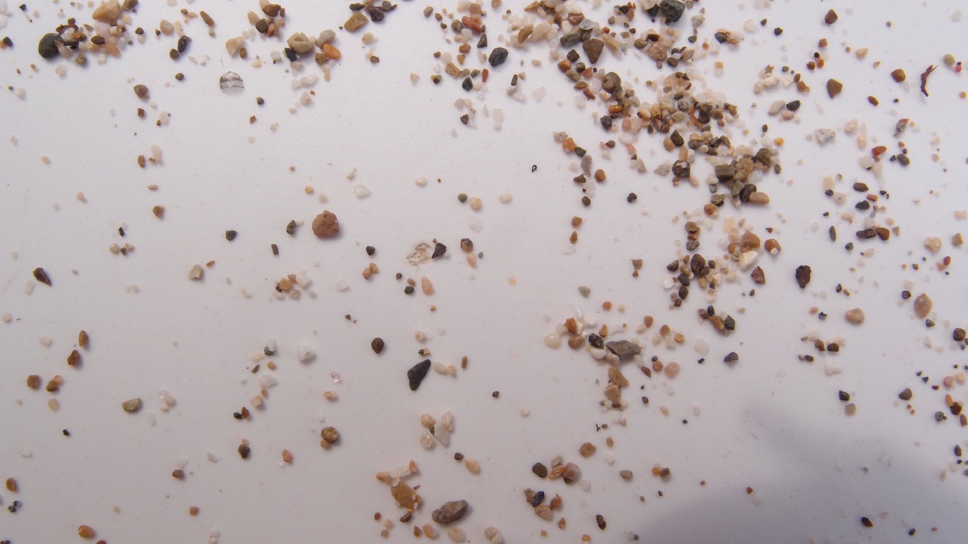 2022-10-29 10 Uhr 40 Wind - Alu (Audio, Foto, Video)