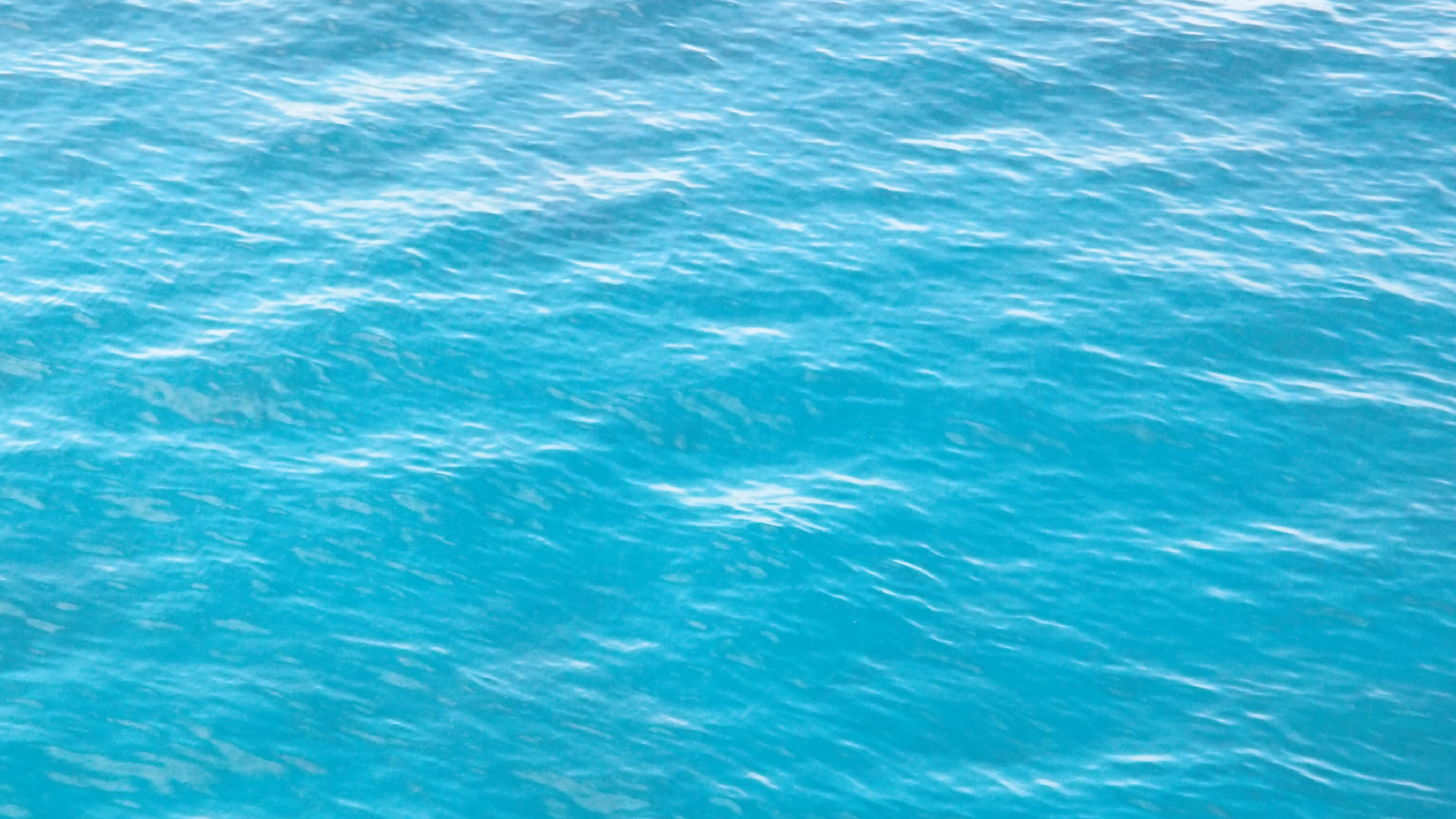 2022-11-09 05 Uhr 36 das Meer (Video, Foto)