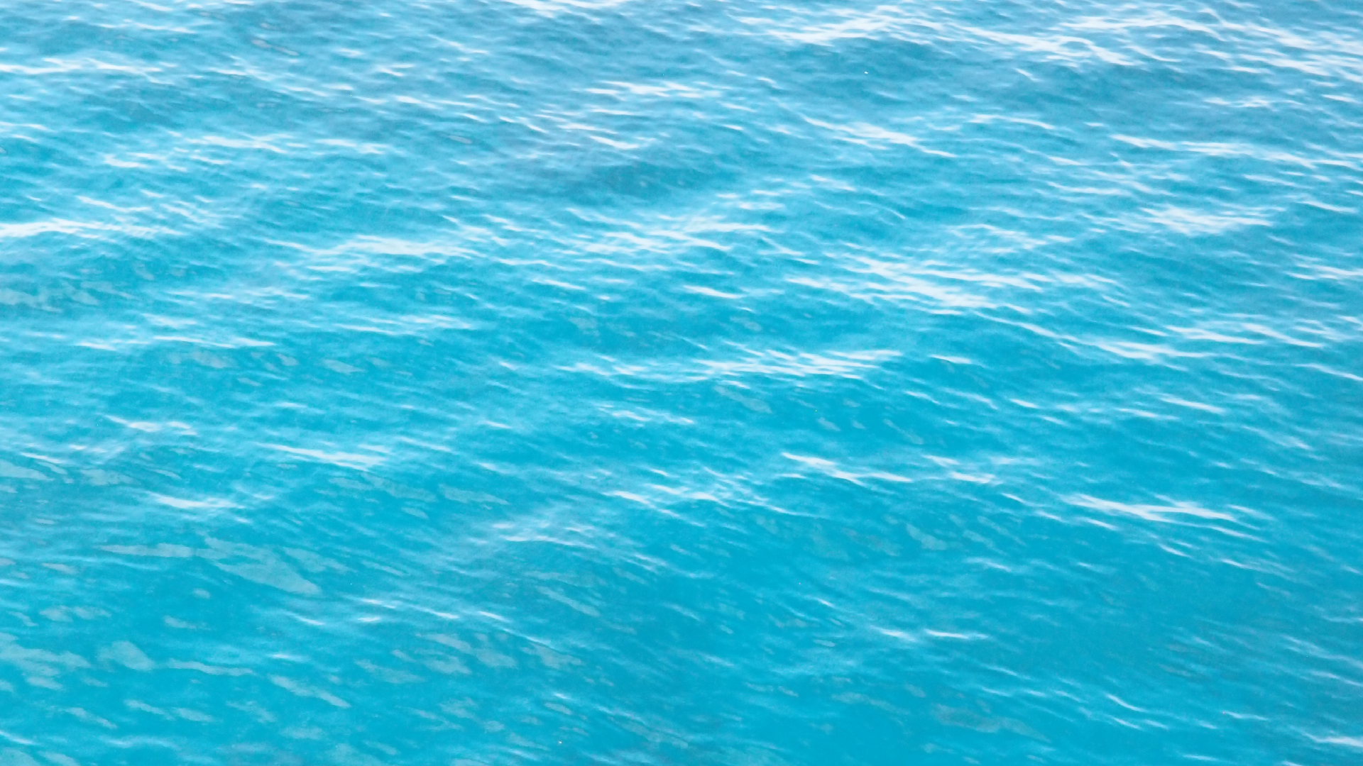 2022-11-09 05 Uhr 36 das Meer (Video, Foto)