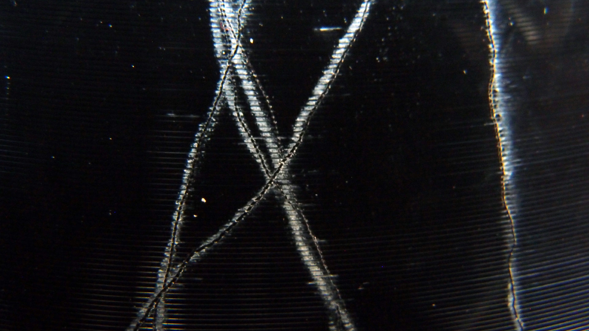 2023-02-03 wendelrekords 4, 2. Entwurf Etiketten (Foto Grafik)