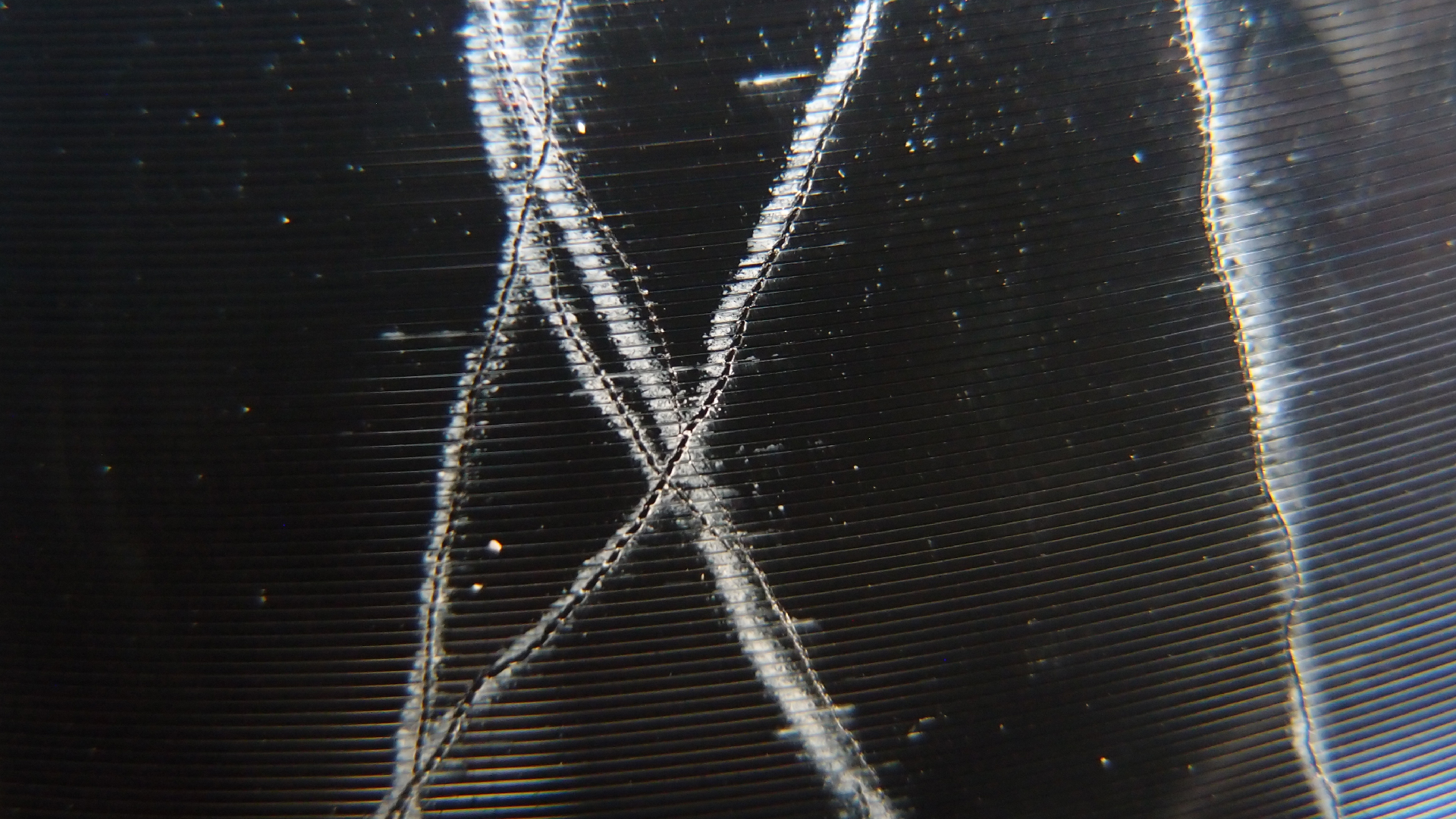 2023-02-03 wendelrekords 4, 2. Entwurf Etiketten (Foto Grafik)