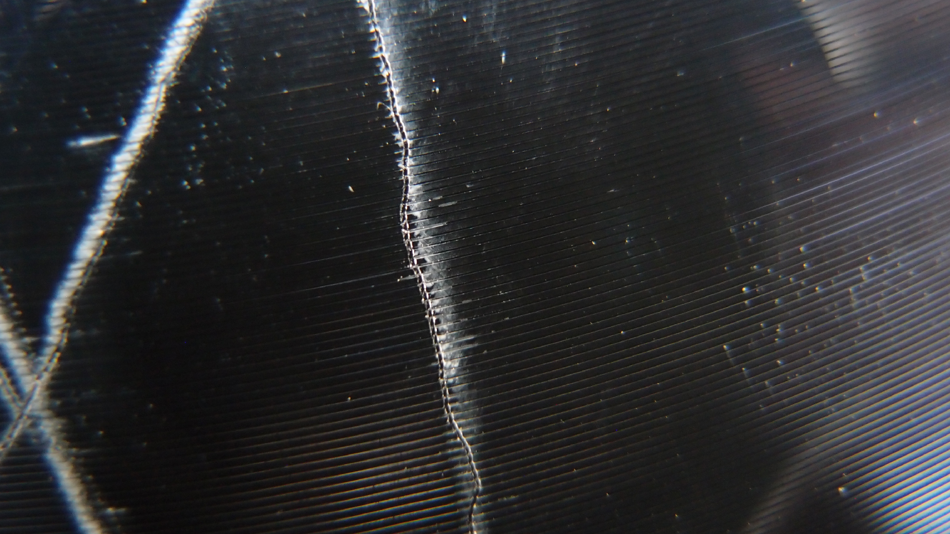 2023-02-03 wendelrekords 4, 2. Entwurf Etiketten (Foto Grafik)