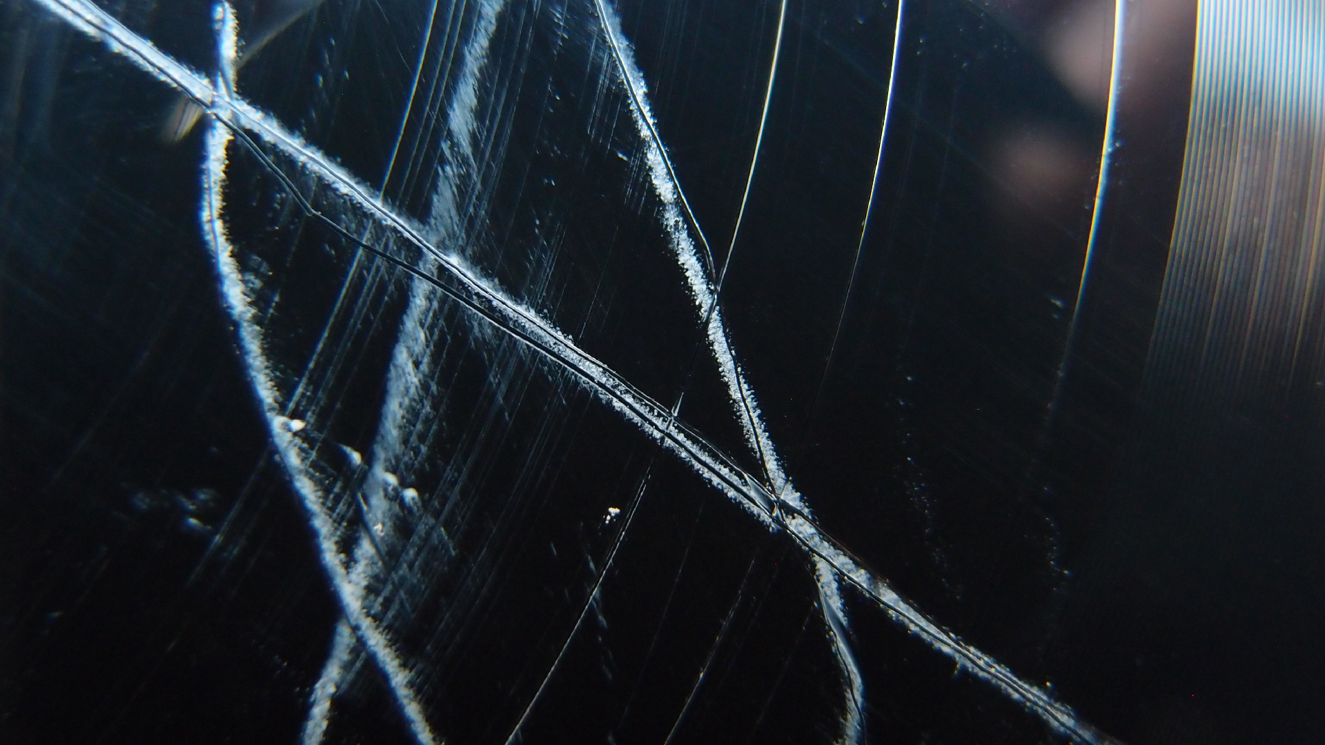 2023-02-03 wendelrekords 4, 2. Entwurf Etiketten (Foto Grafik)