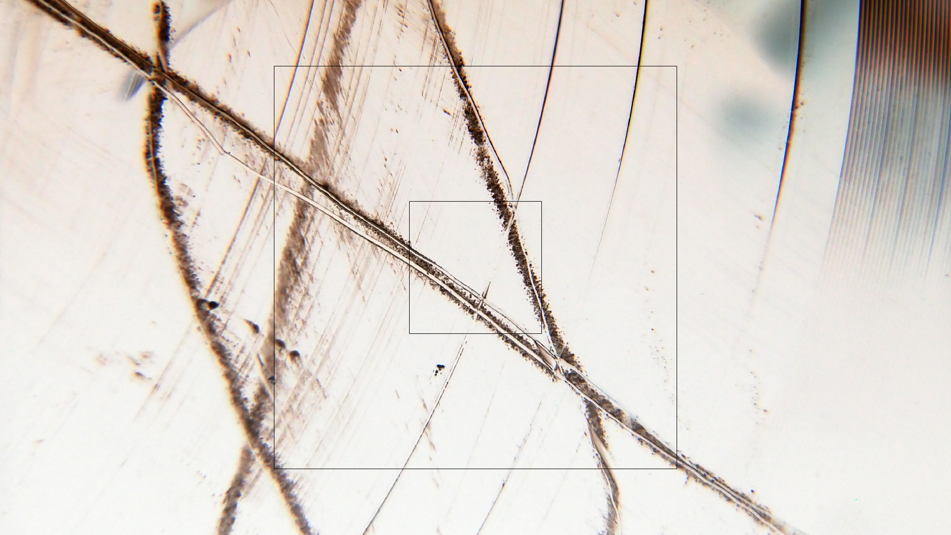 2023-02-03 wendelrekords 4, 2. Entwurf Etiketten (Foto Grafik)