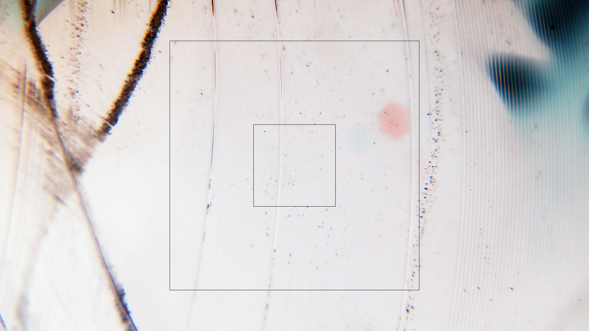 2023-02-03 wendelrekords 4, 2. Entwurf Etiketten (Foto Grafik)