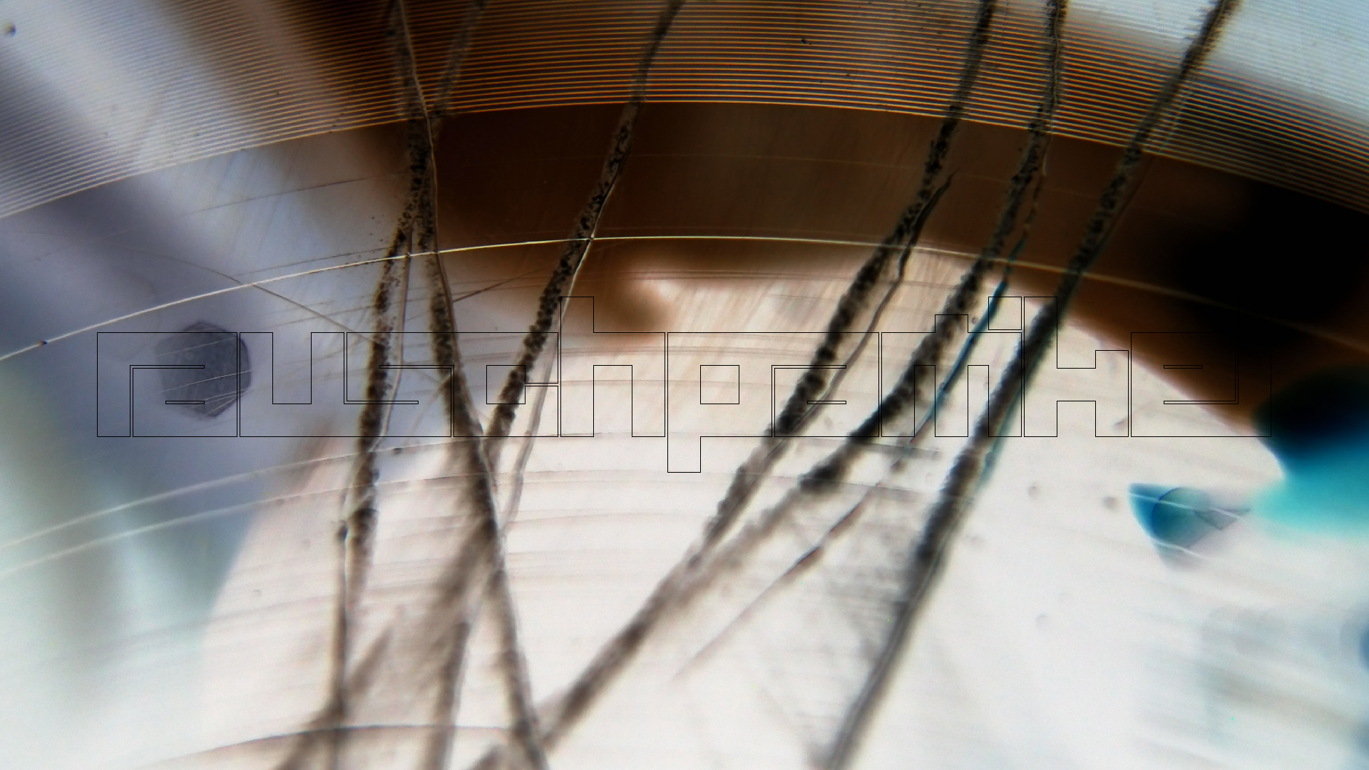 2023-02-03 wendelrekords 4, 2. Entwurf Etiketten (Foto Grafik)