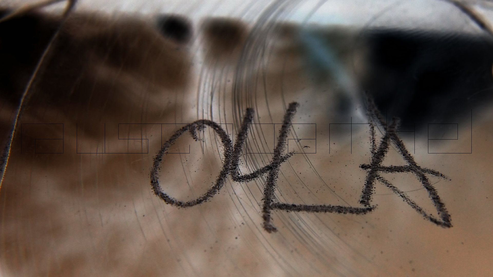 2023-02-03 wendelrekords 4, 2. Entwurf Etiketten (Foto Grafik)