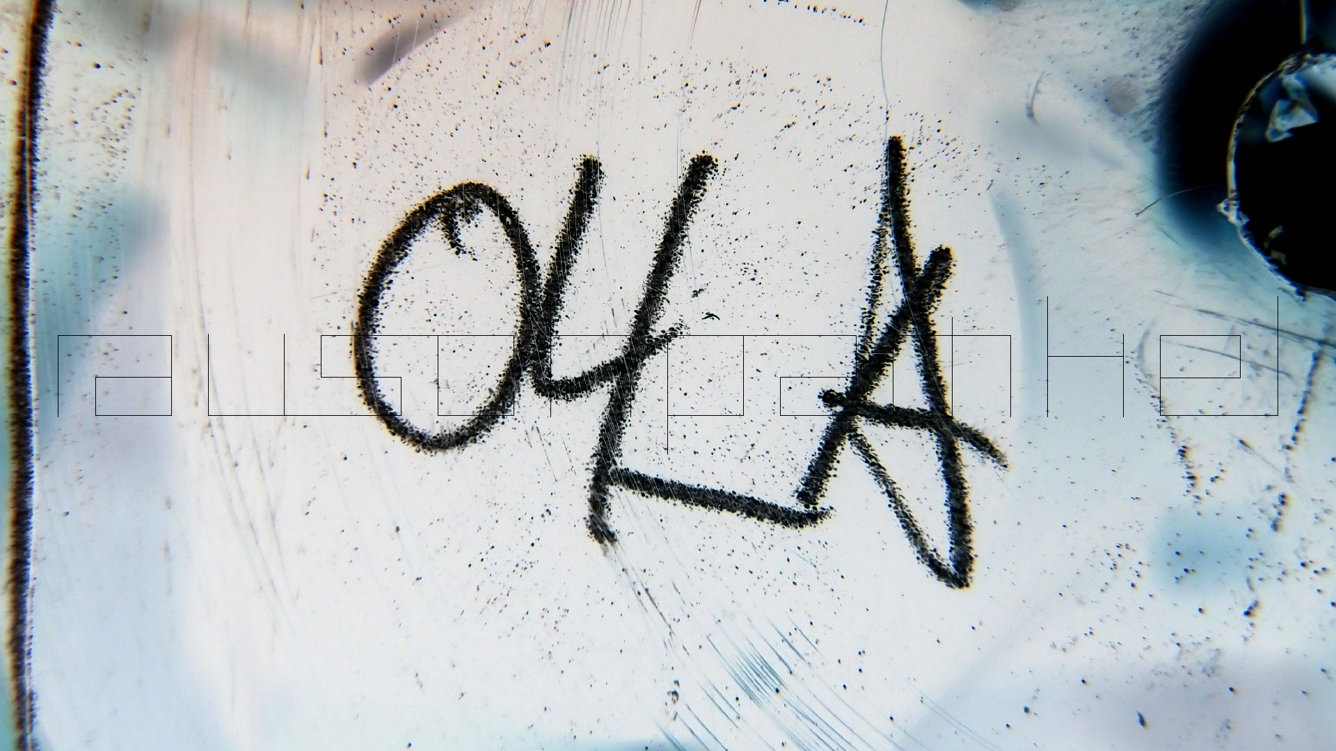 2023-02-03 wendelrekords 4, 2. Entwurf Etiketten (Foto Grafik)