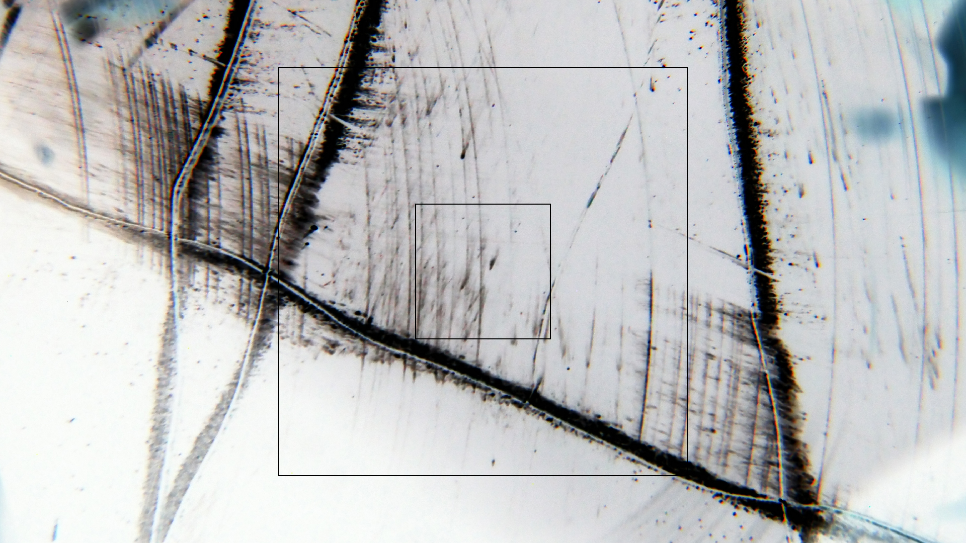 2023-02-03 wendelrekords 4, 2. Entwurf Etiketten (Foto Grafik)