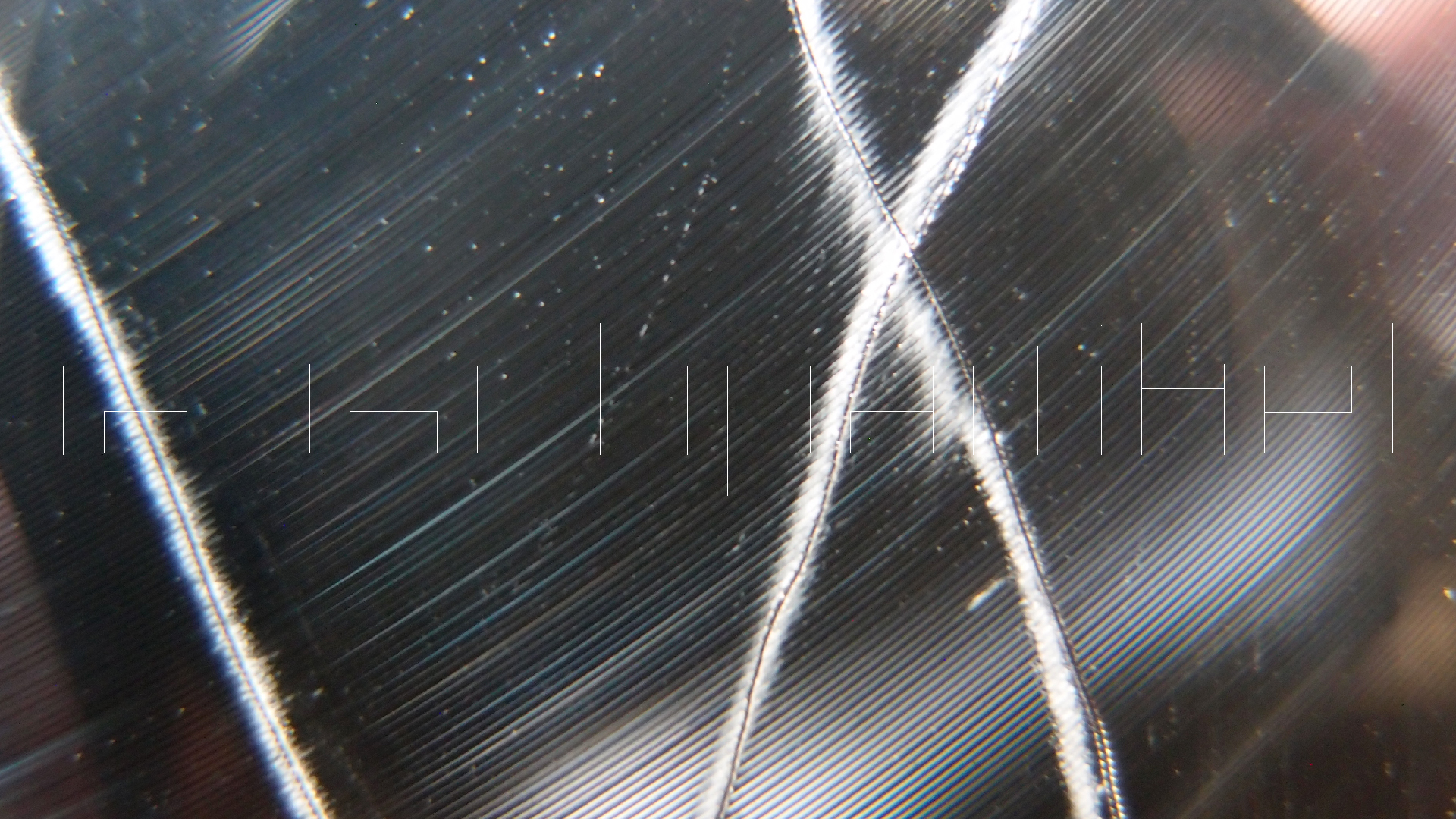 2023-02-03 wendelrekords 4, 2. Entwurf Etiketten (Foto Grafik)