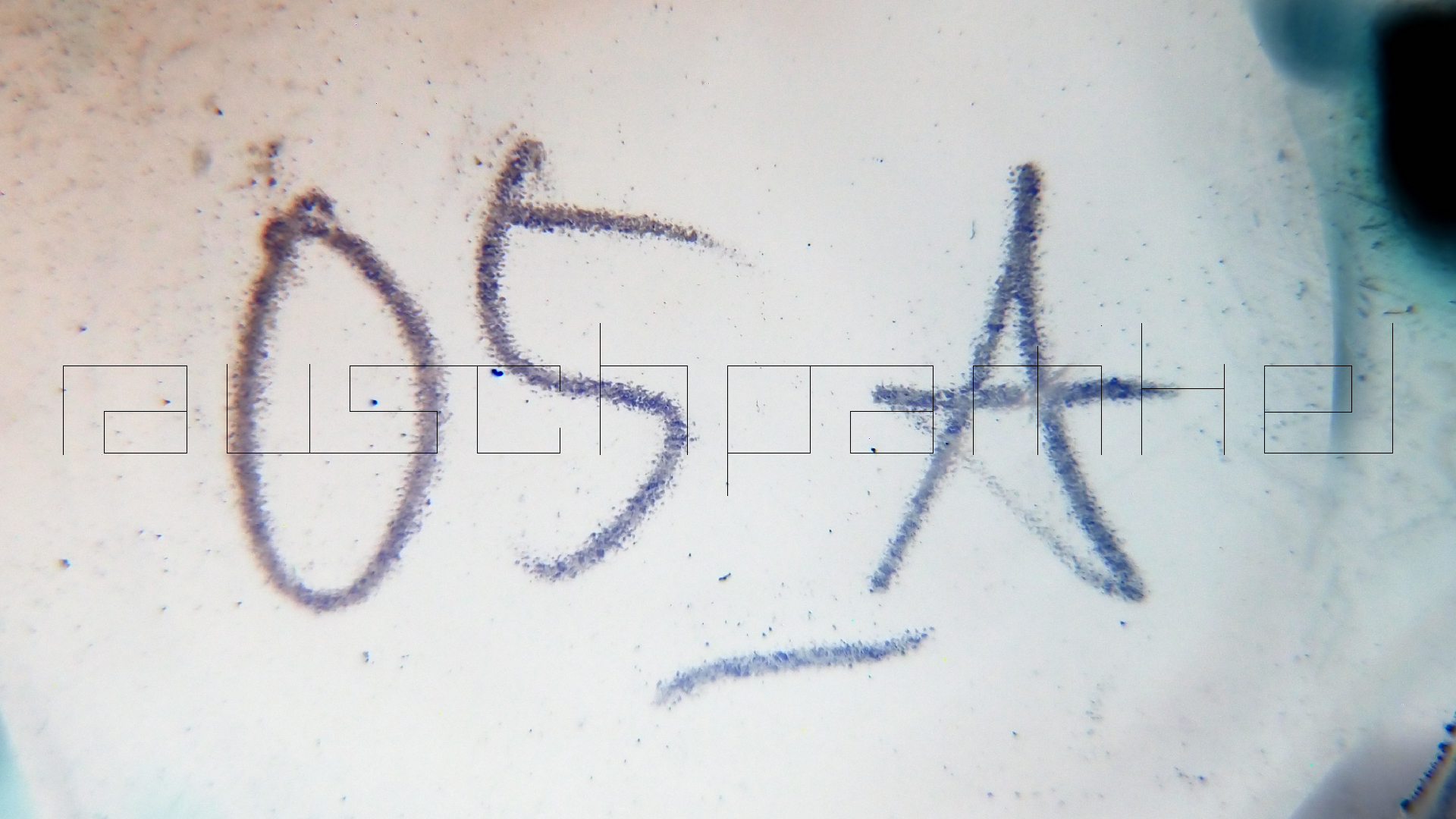 2023-02-03 wendelrekords 4, 2. Entwurf Etiketten (Foto Grafik)