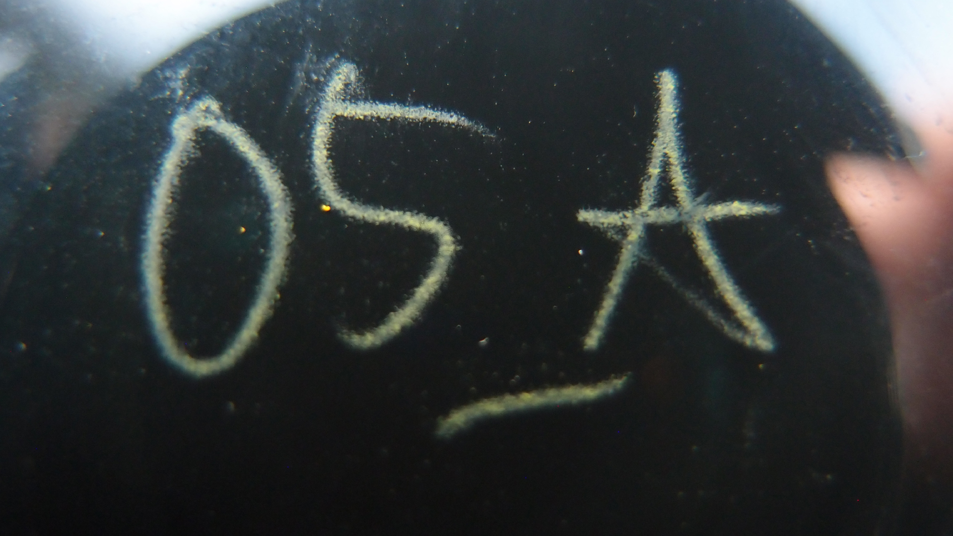 2023-02-03 wendelrekords 4, 2. Entwurf Etiketten (Foto Grafik)