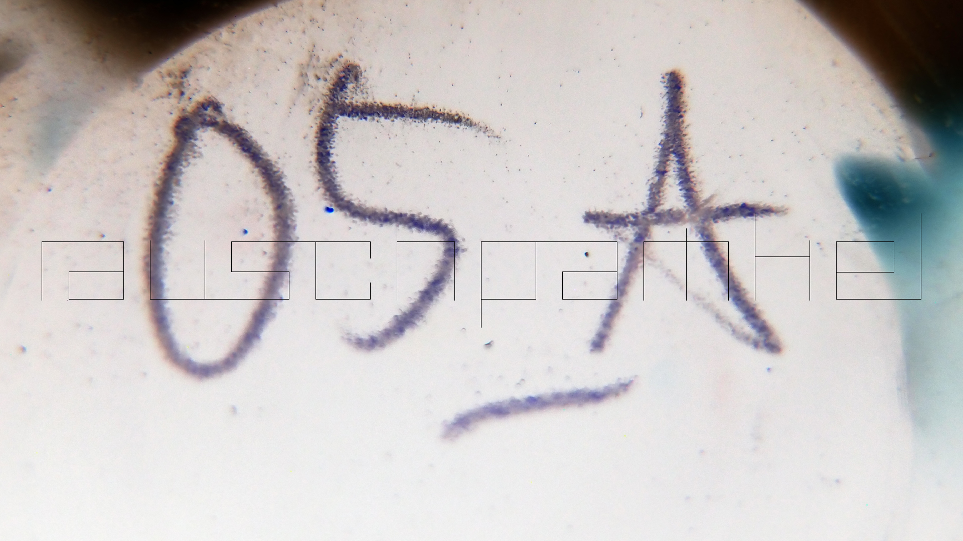 2023-02-03 wendelrekords 4, 2. Entwurf Etiketten (Foto Grafik)