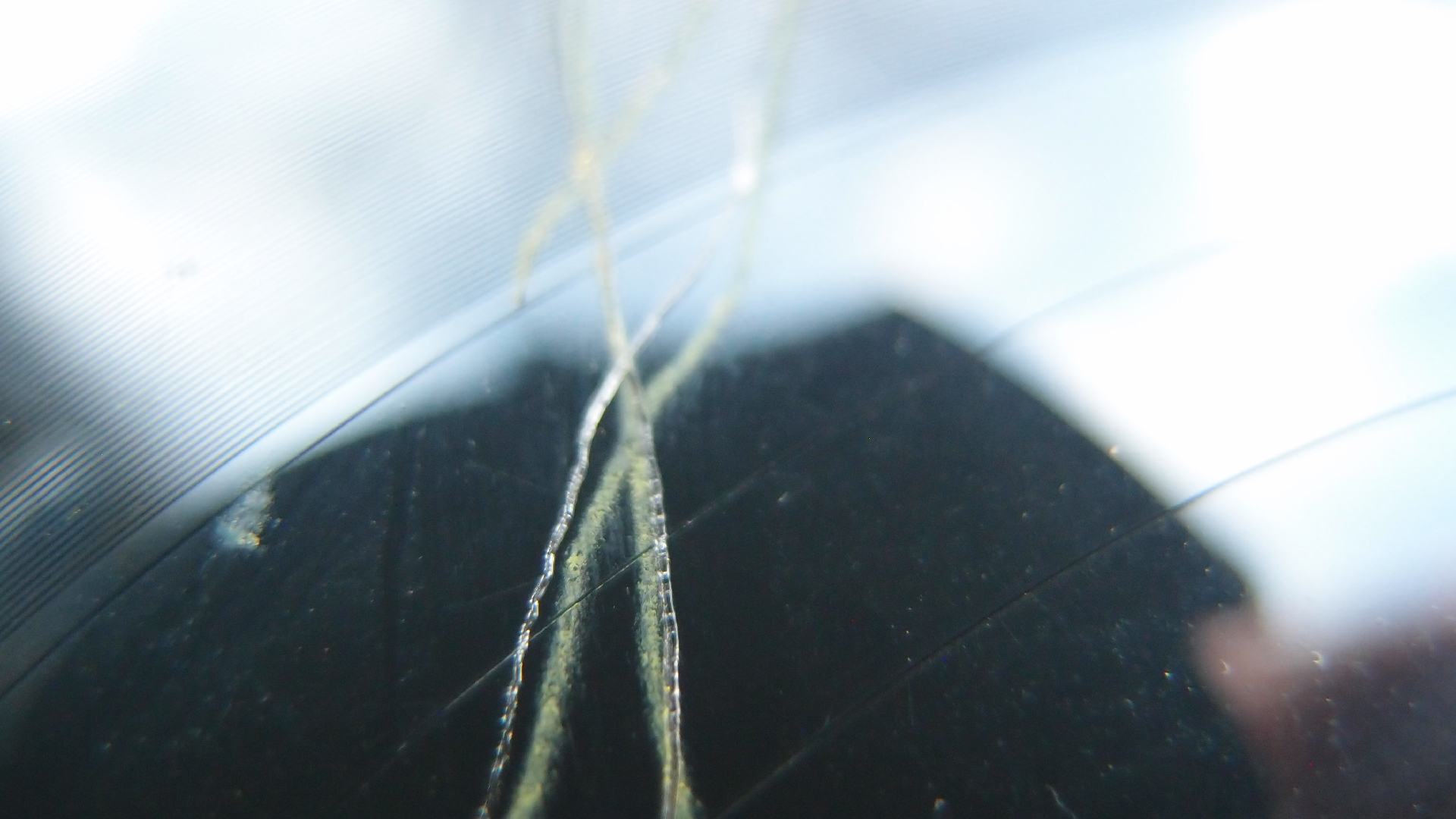 2023-02-03 wendelrekords 4, 2. Entwurf Etiketten (Foto Grafik)