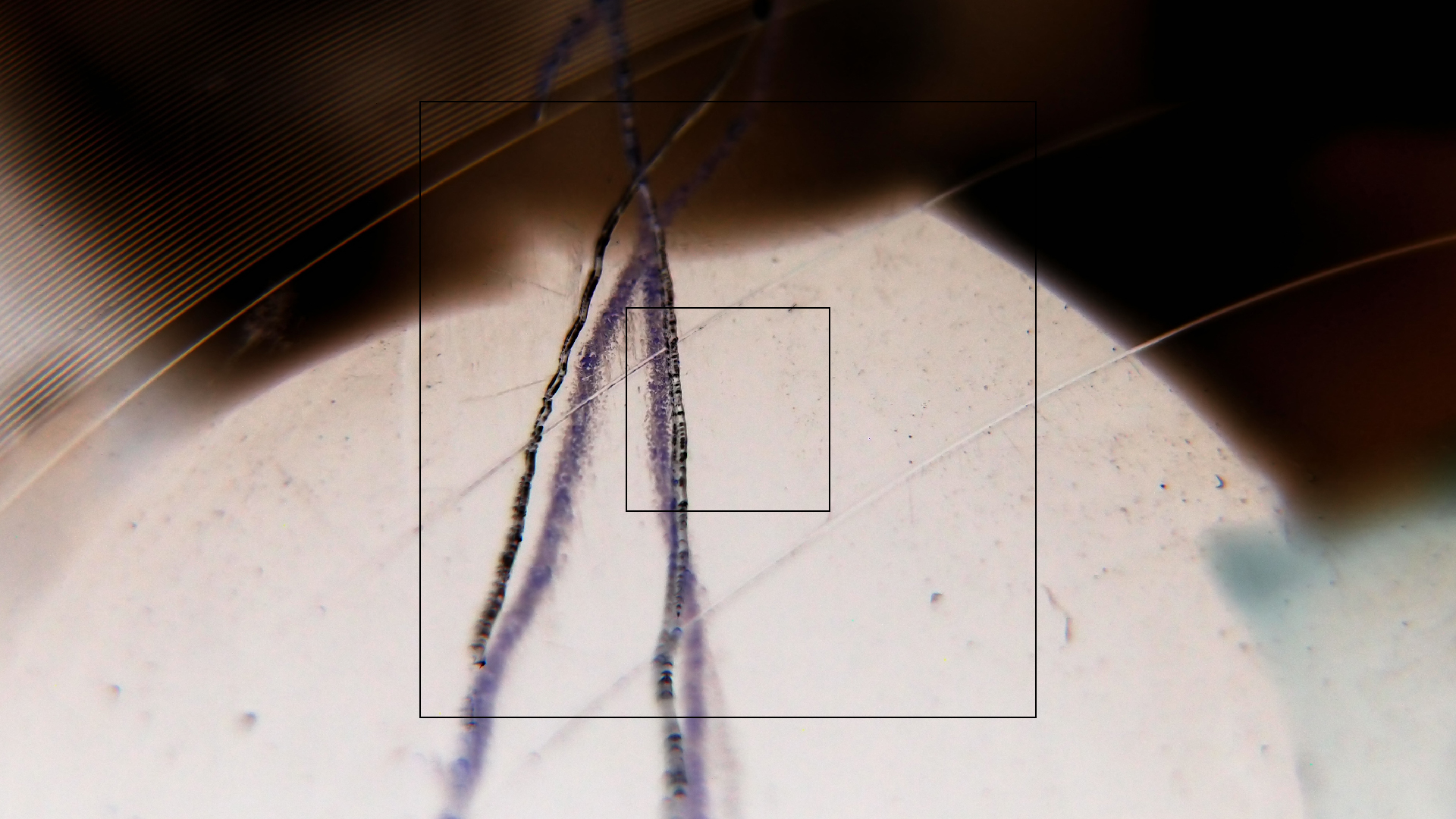 2023-02-03 wendelrekords 4, 2. Entwurf Etiketten (Foto Grafik)