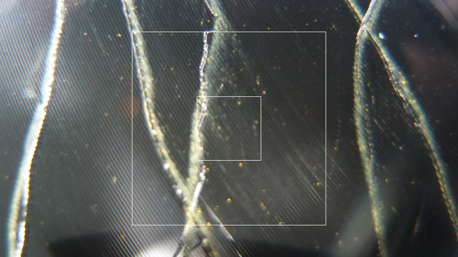 2023-02-03 wendelrekords 4, 2. Entwurf Etiketten (Foto Grafik)