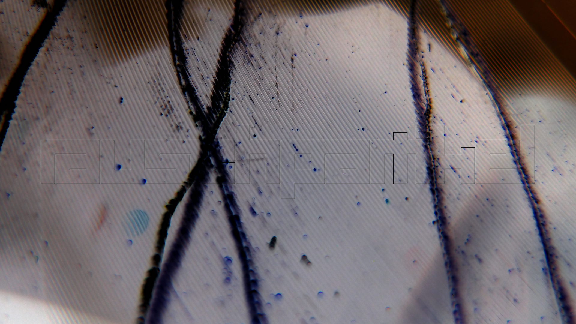 2023-02-03 wendelrekords 4, 2. Entwurf Etiketten (Foto Grafik)