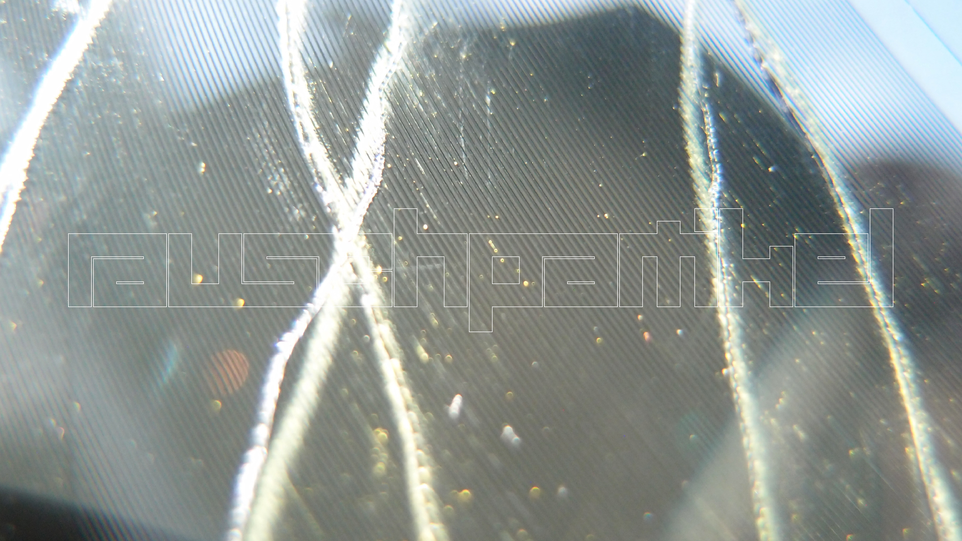 2023-02-03 wendelrekords 4, 2. Entwurf Etiketten (Foto Grafik)