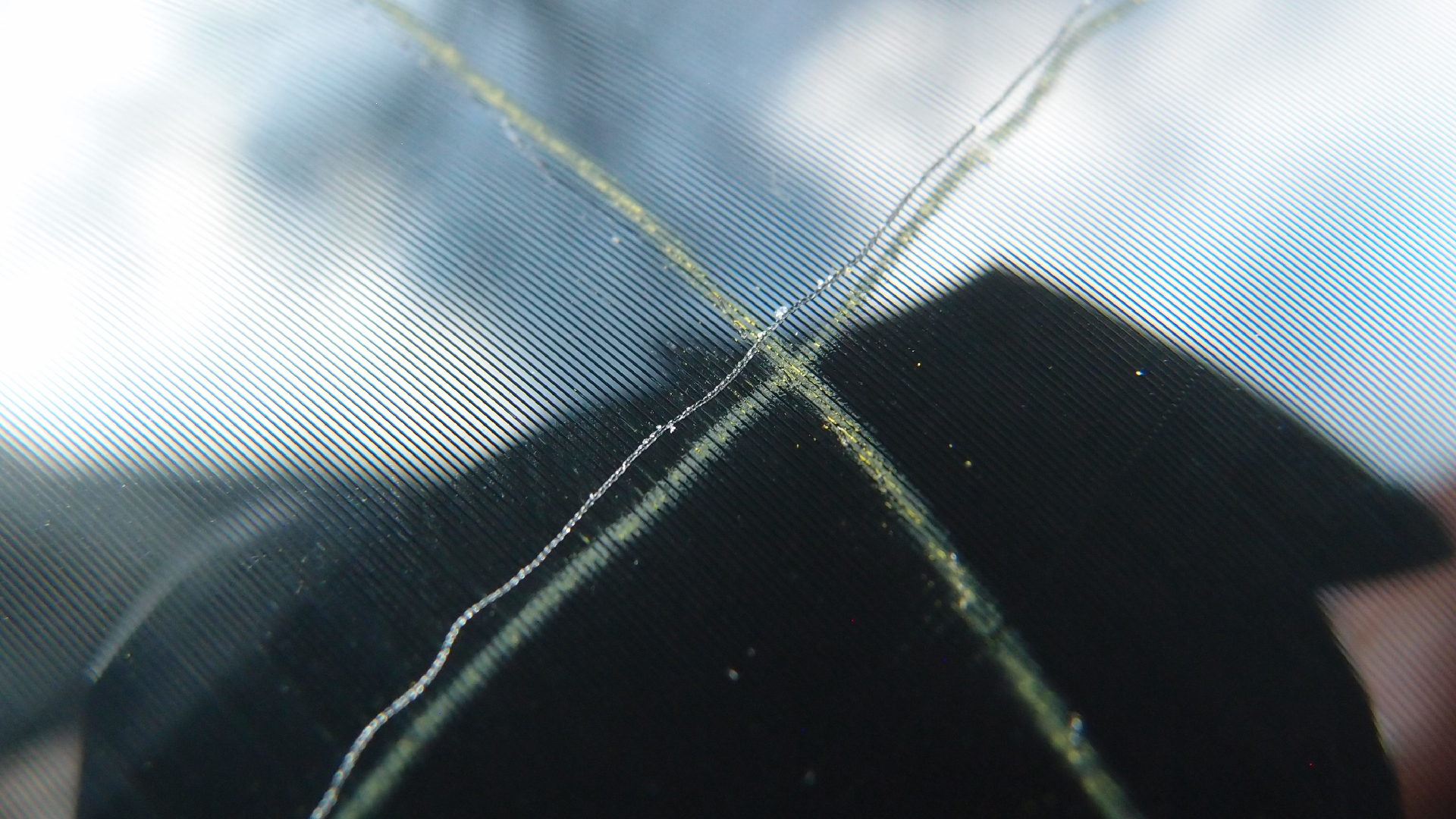 2023-02-03 wendelrekords 4, 2. Entwurf Etiketten (Foto Grafik)