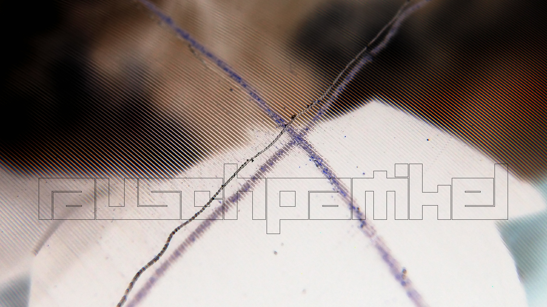 2023-02-03 wendelrekords 4, 2. Entwurf Etiketten (Foto Grafik)