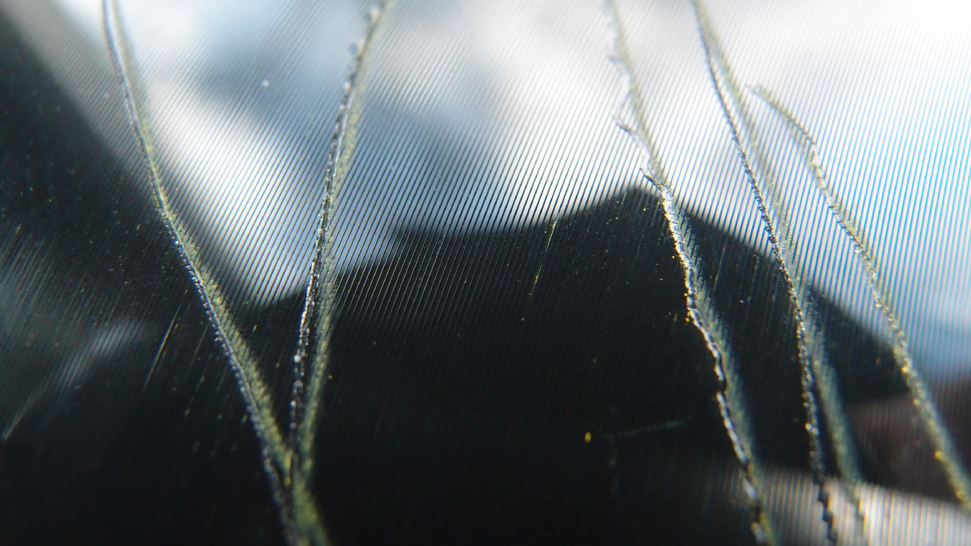 2023-02-03 wendelrekords 4, 2. Entwurf Etiketten (Foto Grafik)