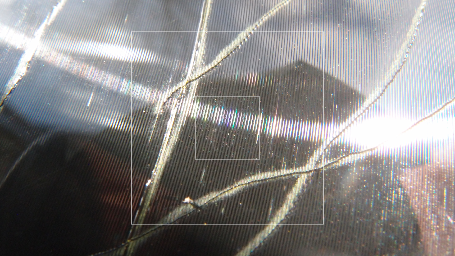 2023-02-03 wendelrekords 4, 2. Entwurf Etiketten (Foto Grafik)