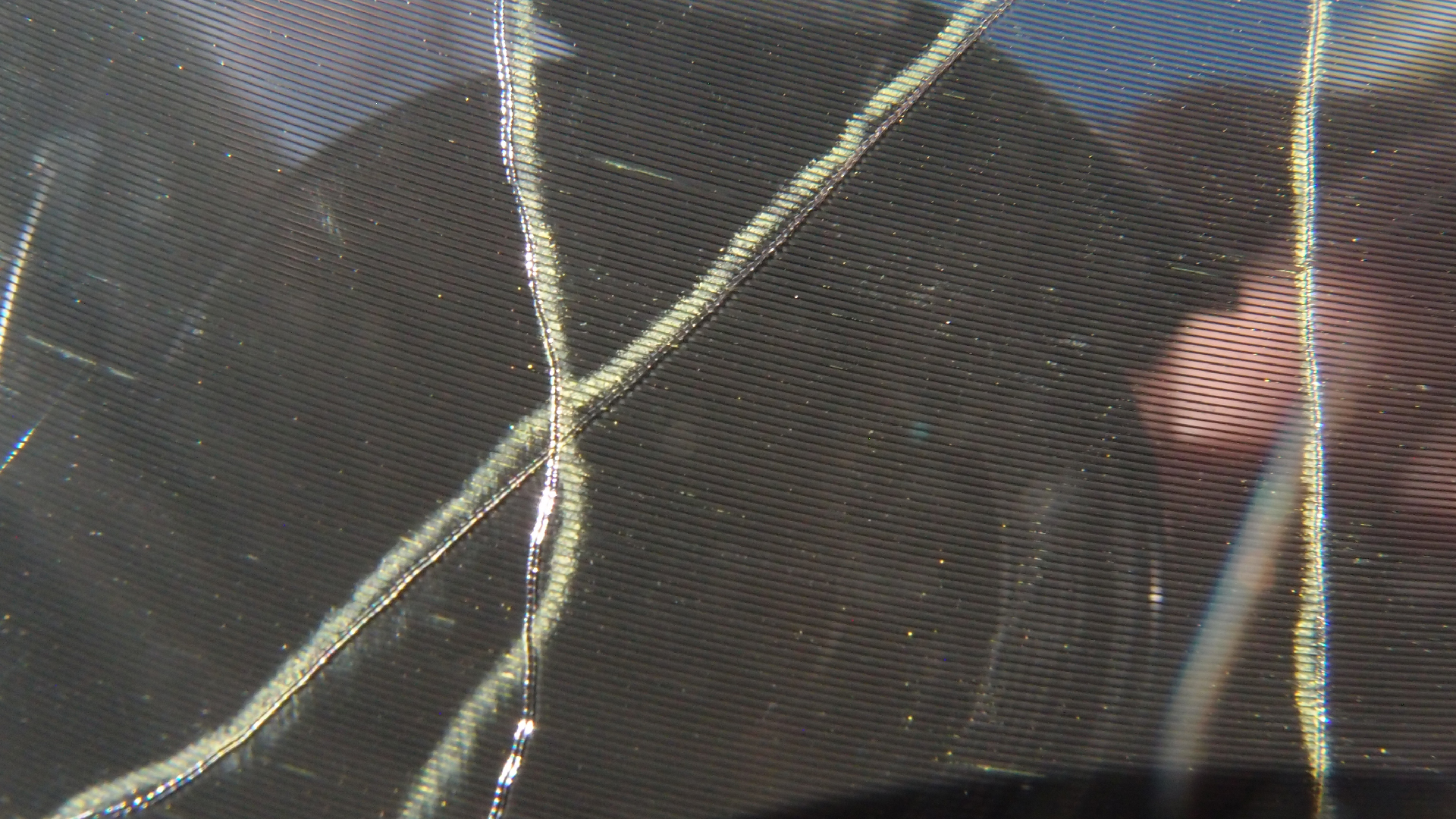 2023-02-03 wendelrekords 4, 2. Entwurf Etiketten (Foto Grafik)